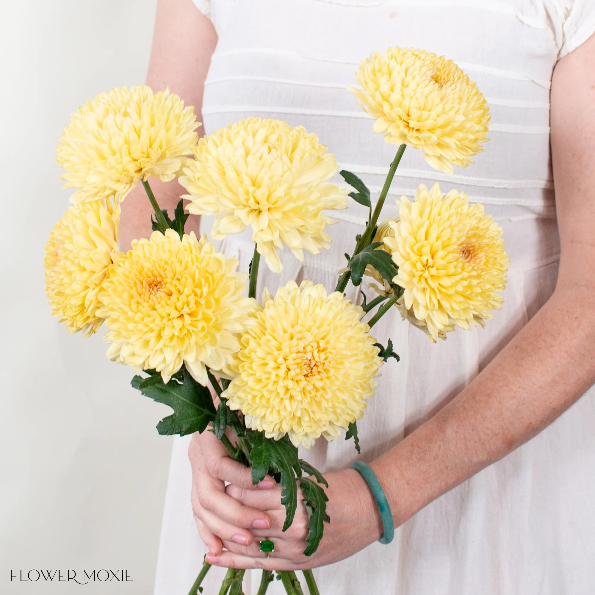 Pale Yellow Cremone Flower - Image 4