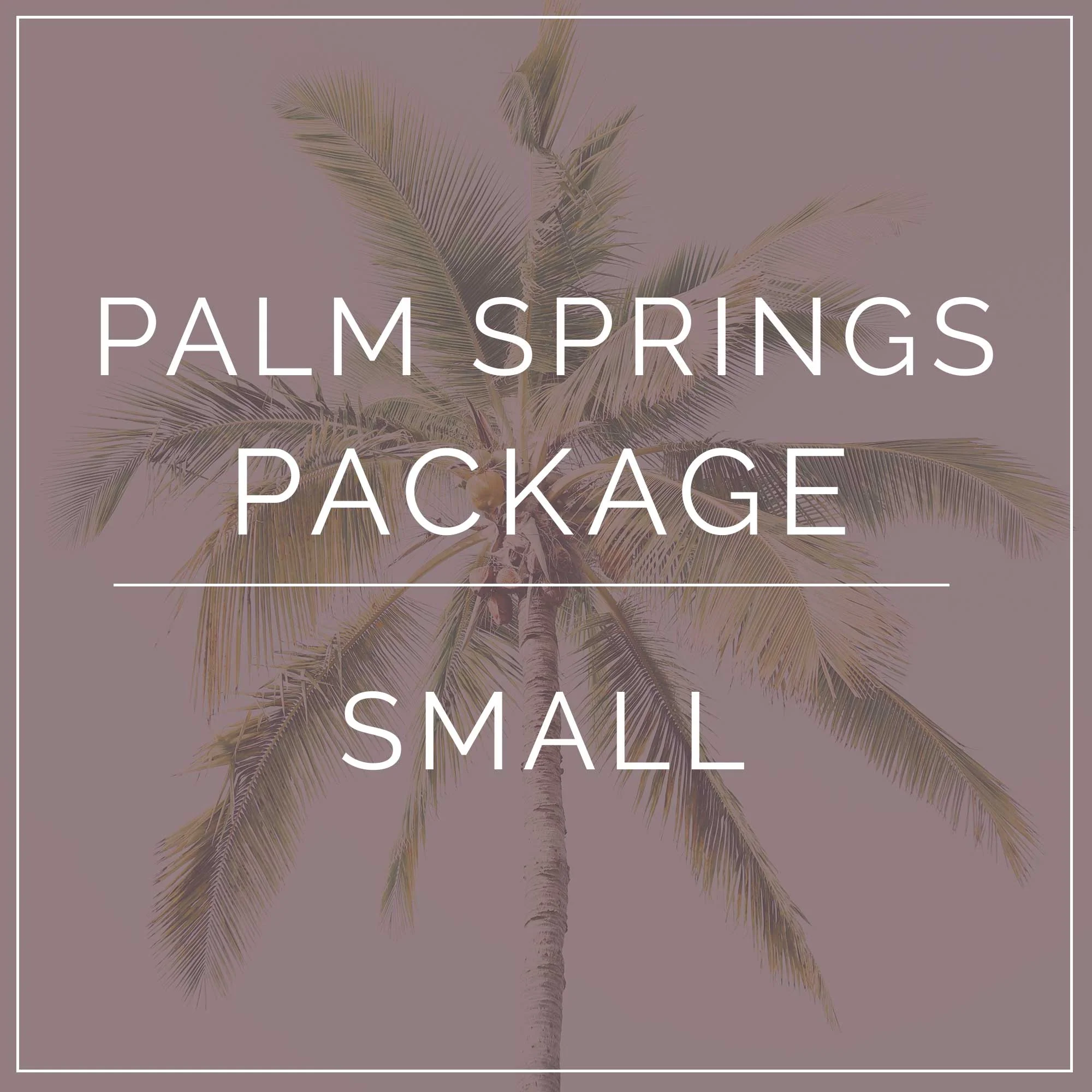 Palm Springs Full DIY - Small Package