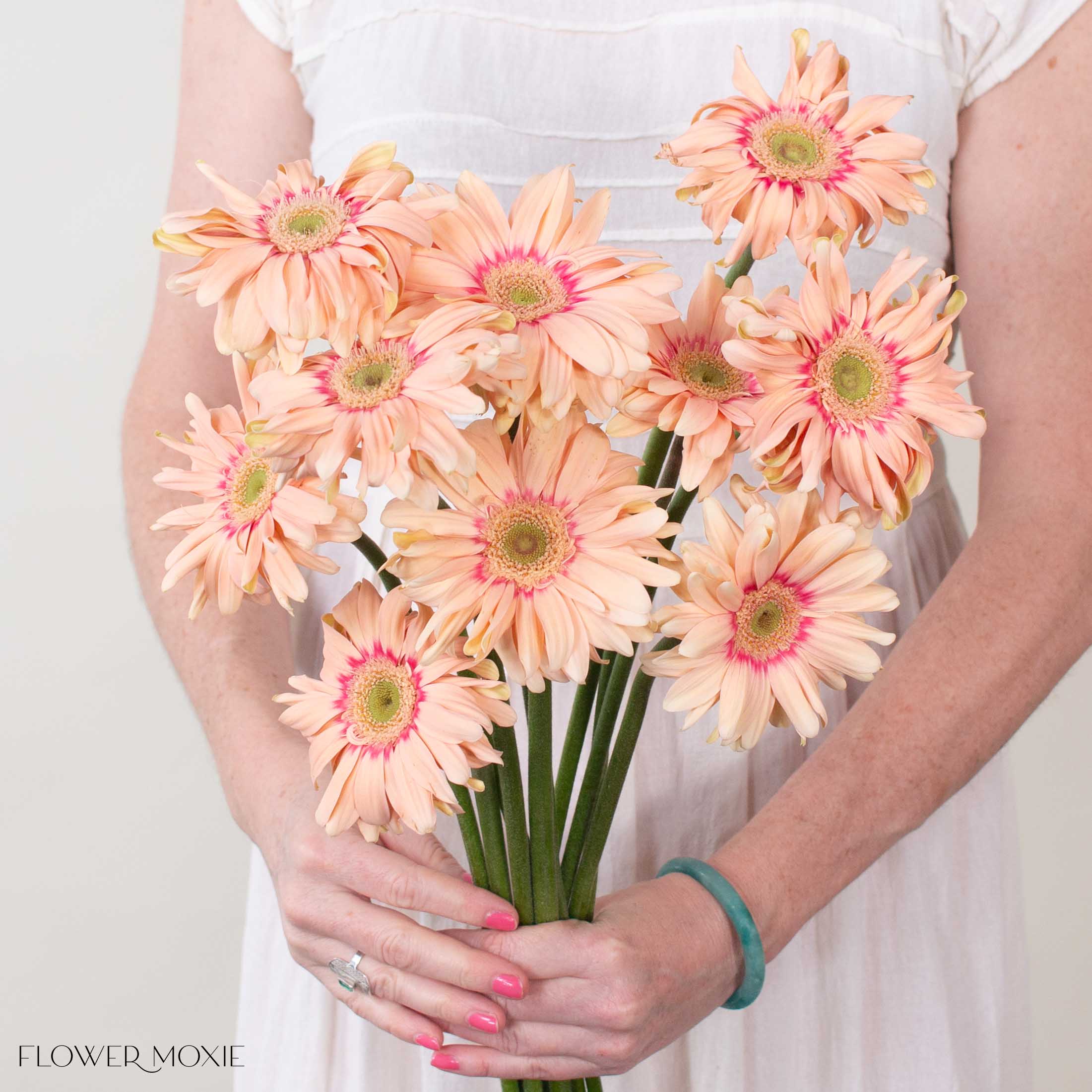 Peach Curly Mini Gerbera Daisies - Image 3