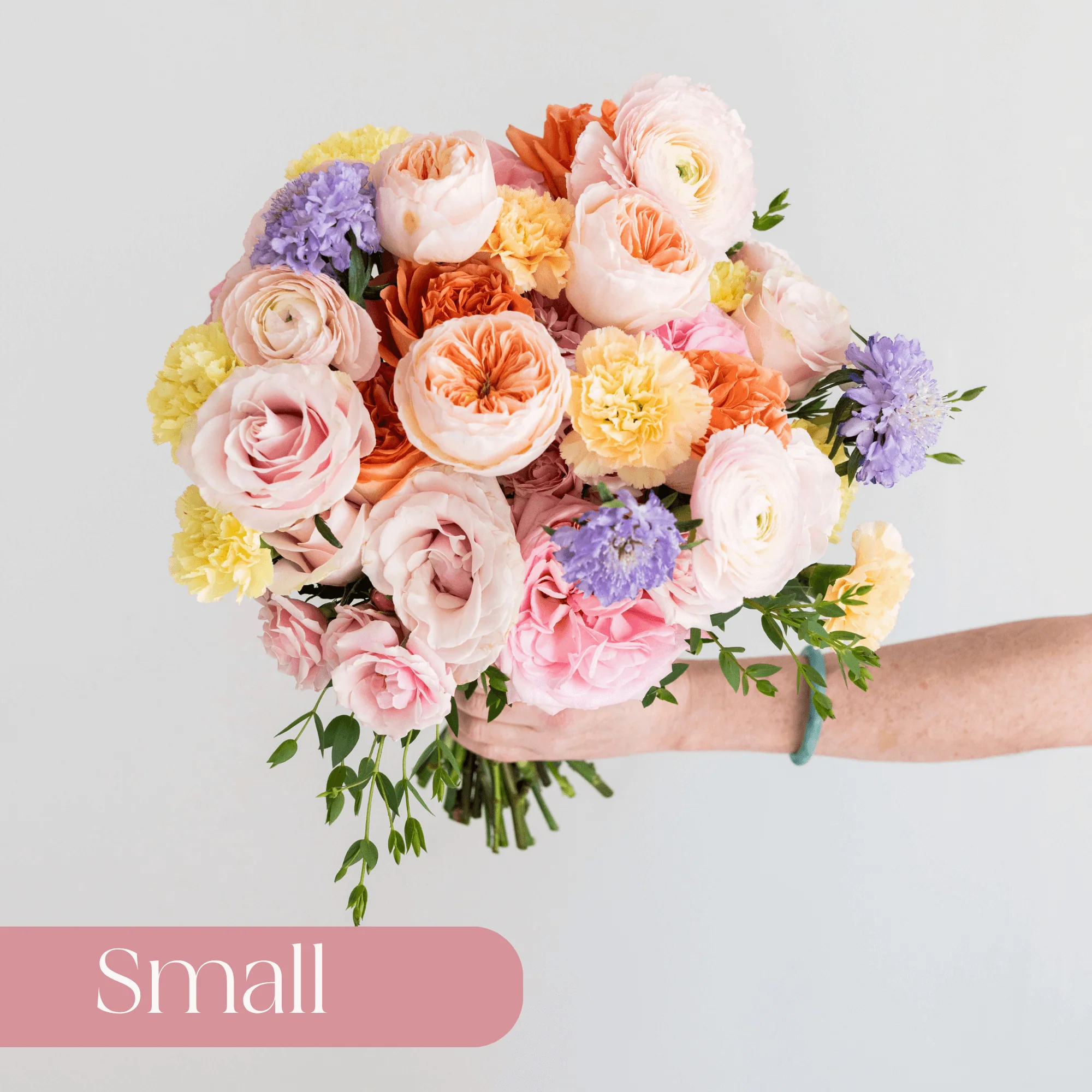 Pastels Premade Plus  - Small