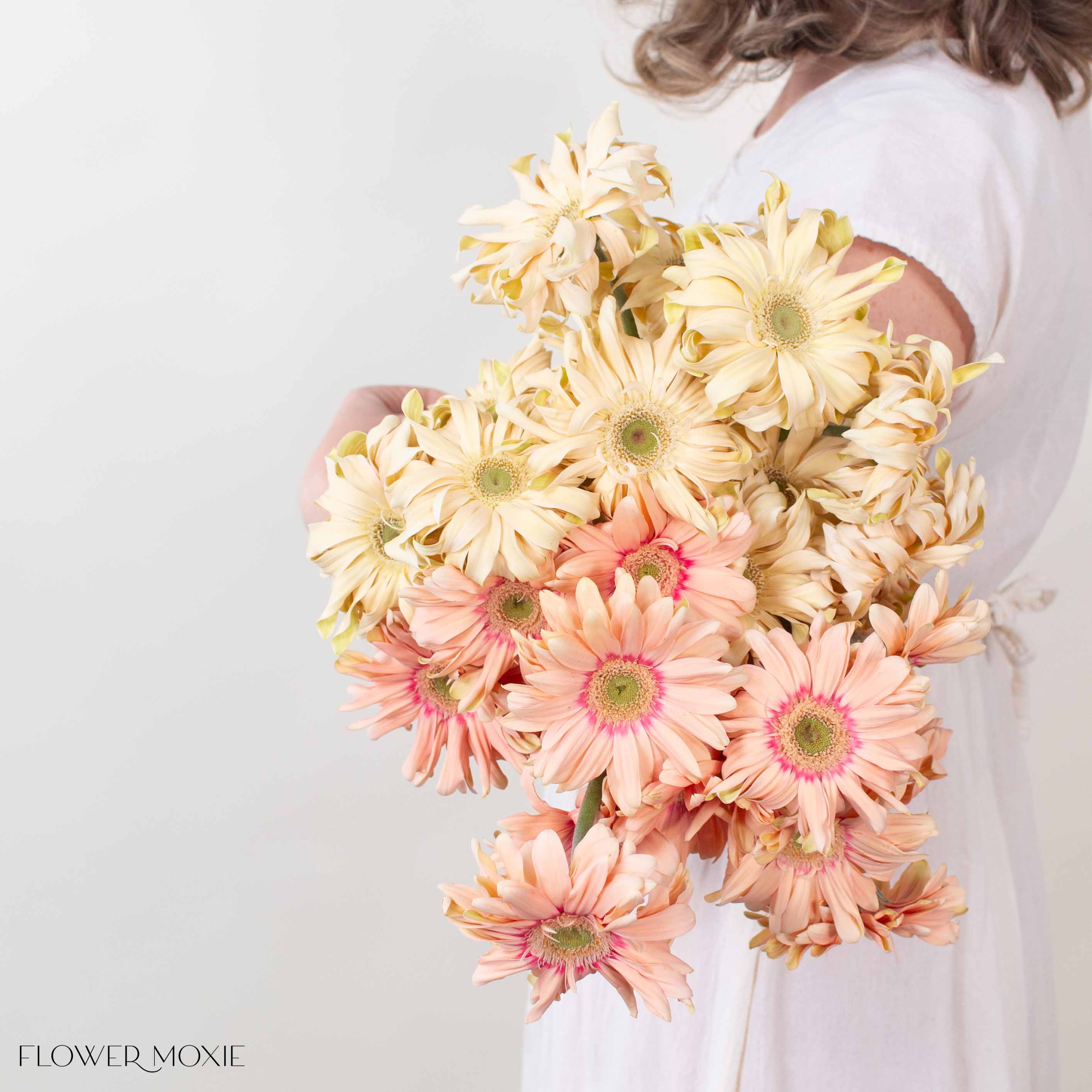 Peach and Beige Curly Mini Gerbera Daisies Mixed Box - Image 3