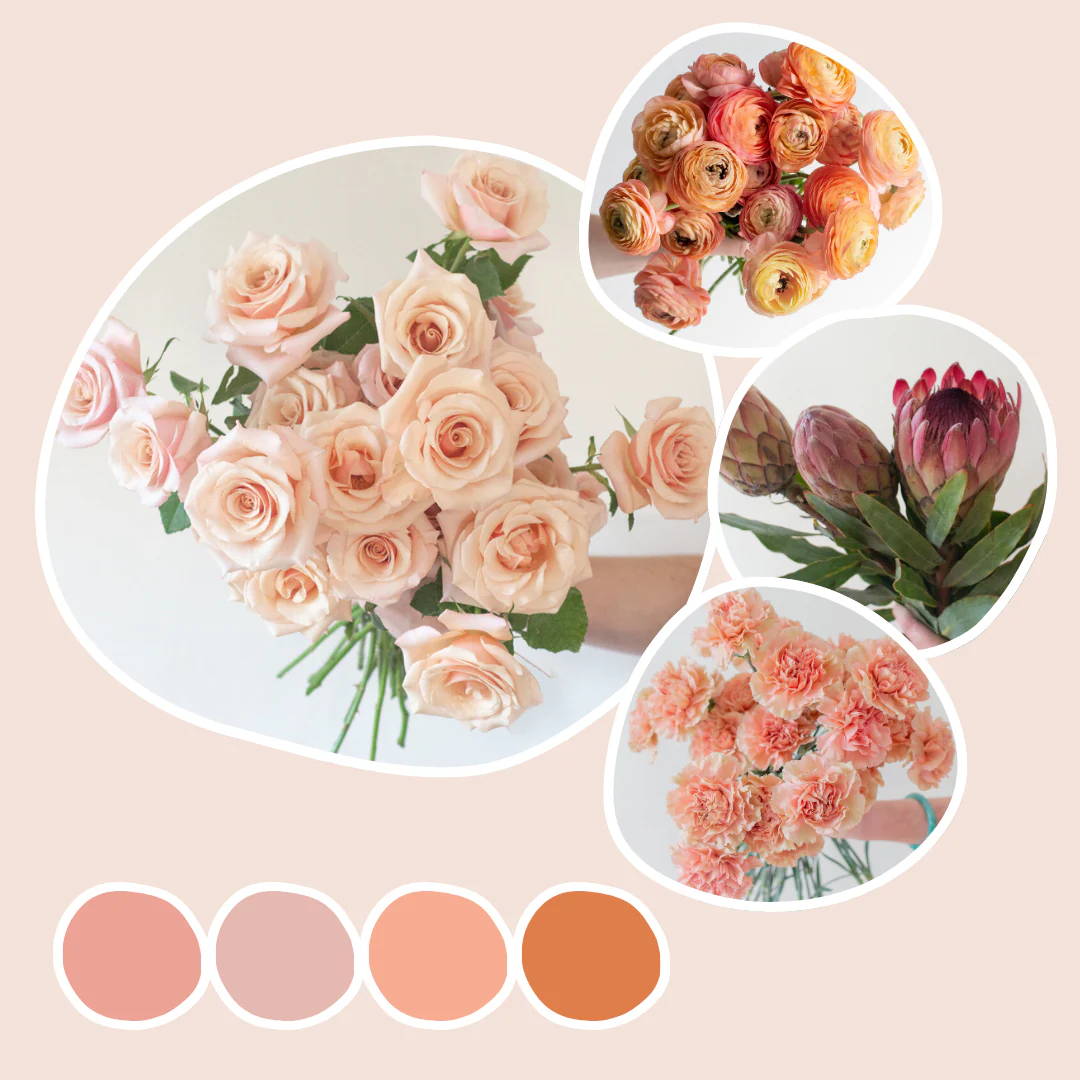 Peach Mixed Box – Desert Muse