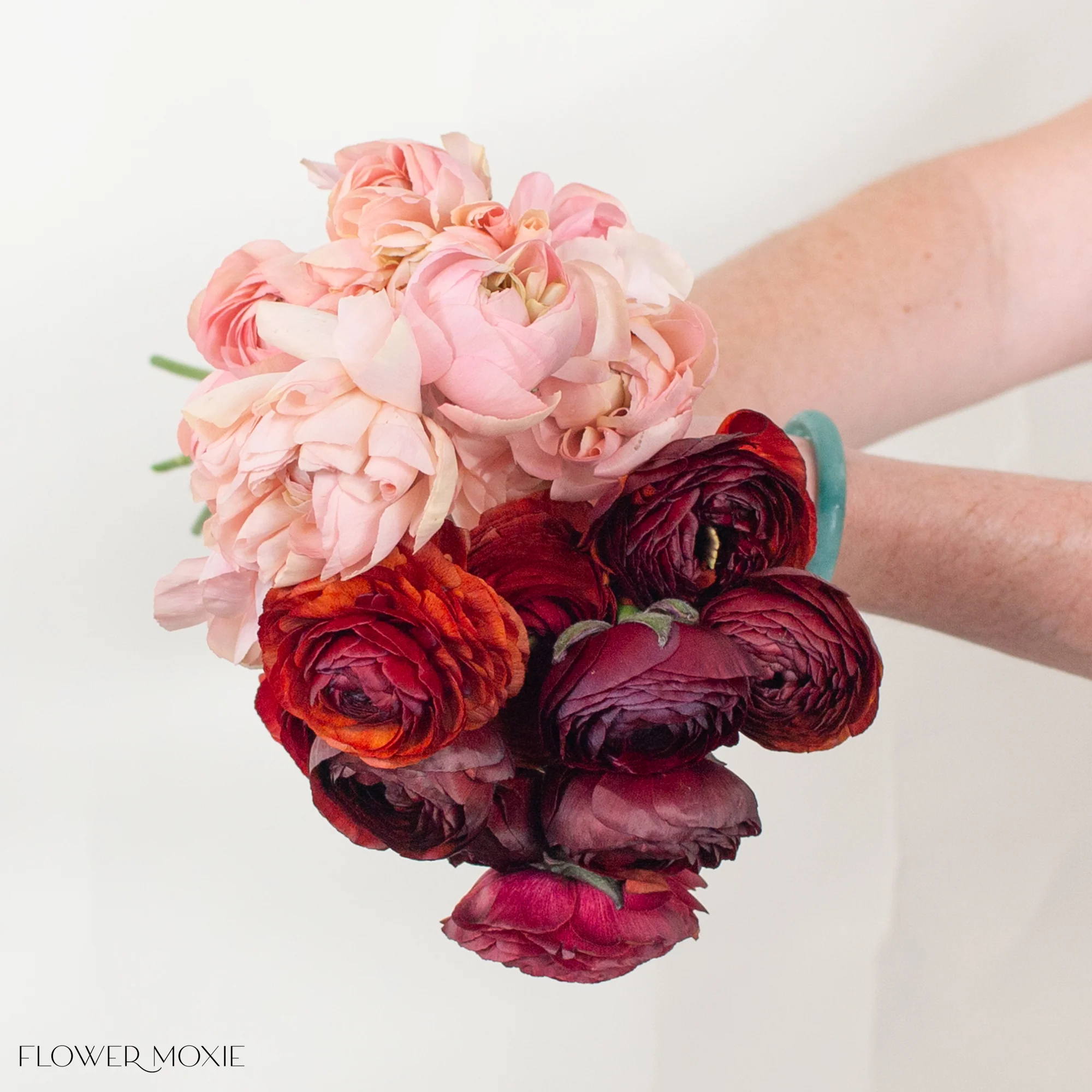 Peach and Chocolate Ranunculus Mixed Box - Image 3