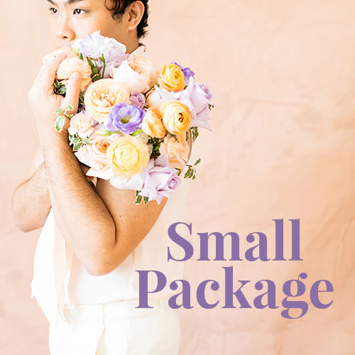 Peach and Lilac Full DIY - Small Package