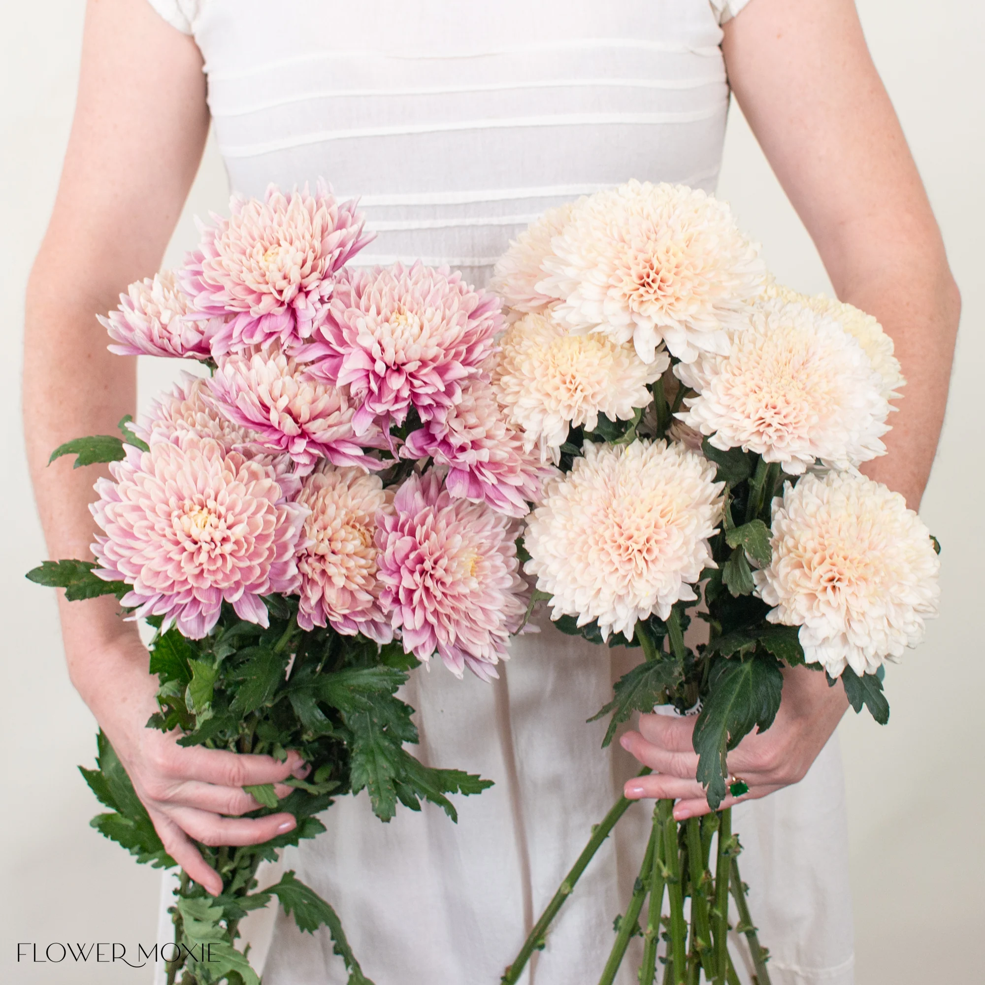 Peachy Pink and Champagne Cremones Mixed Box - Image 4