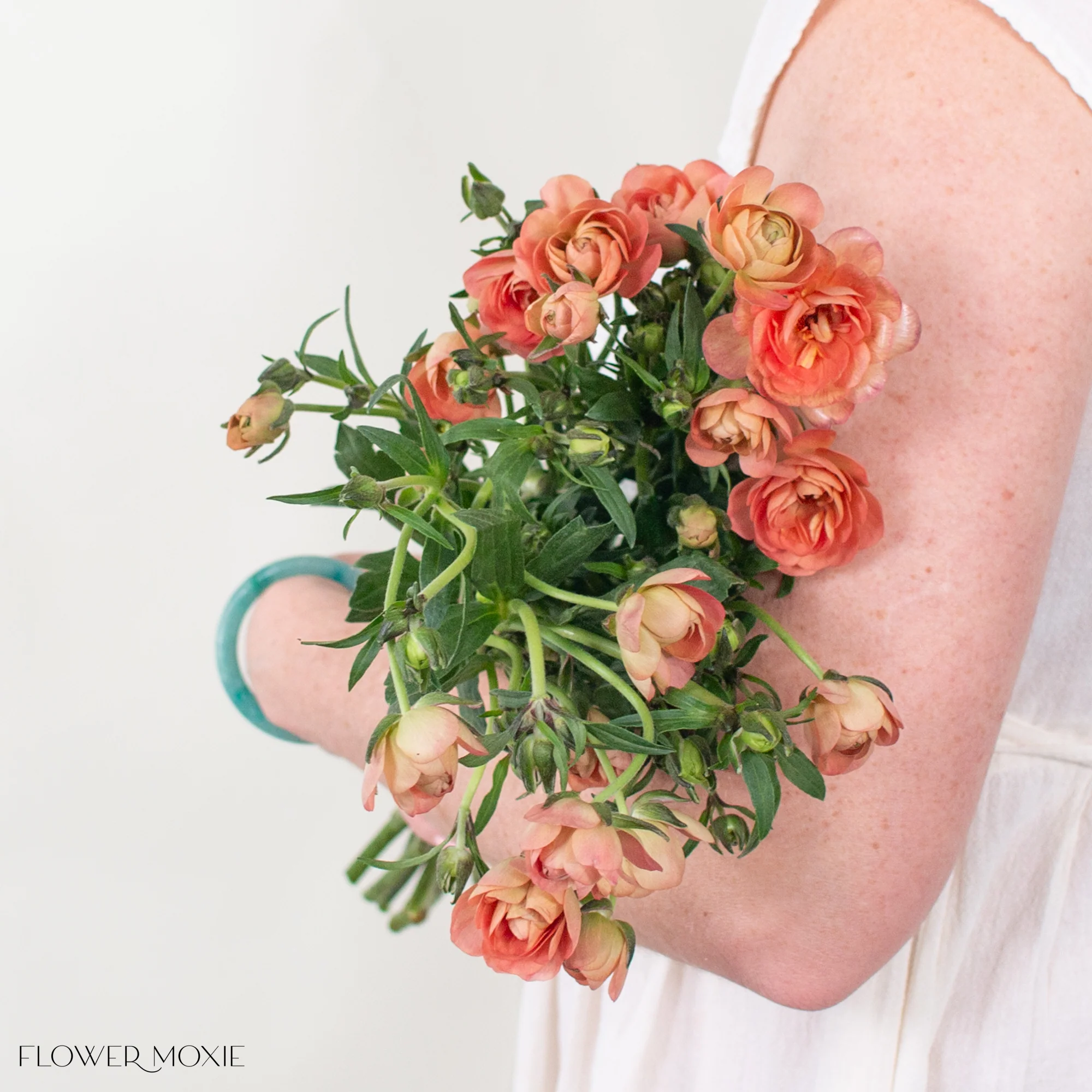 Peach Butterfly Ranunculus - Image 3