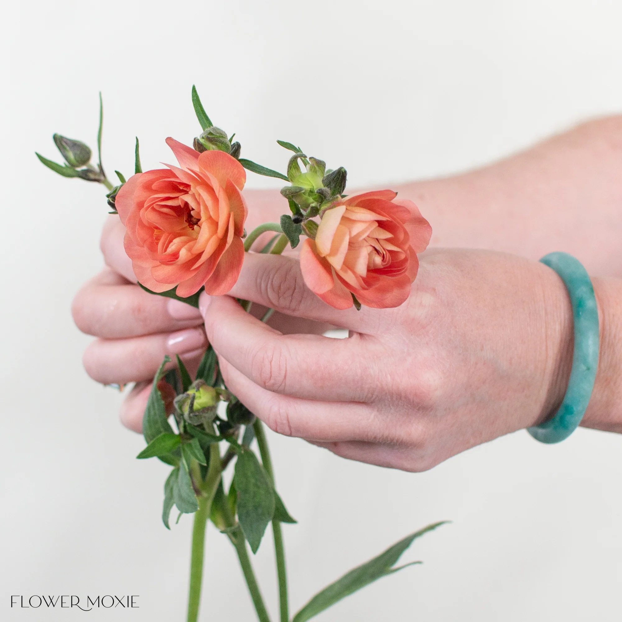 Peach Butterfly Ranunculus - Image 4