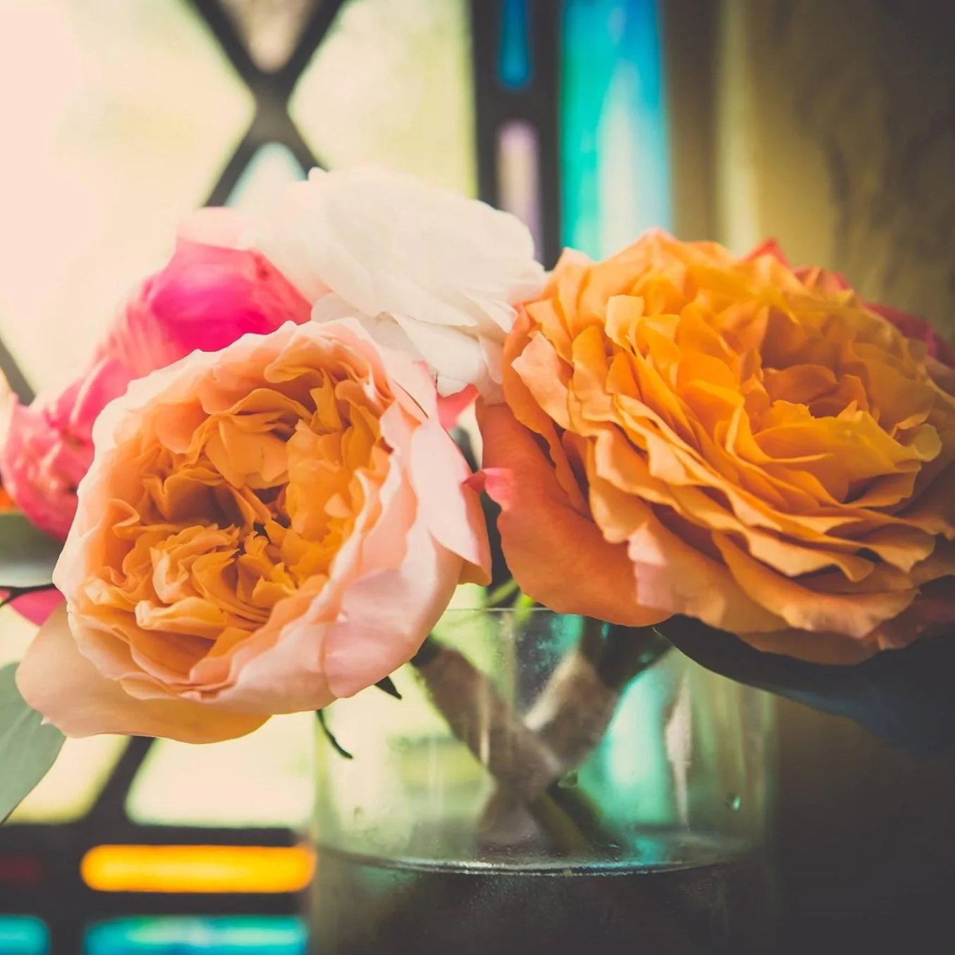 Mayra's Peach Garden Rose - Image 10