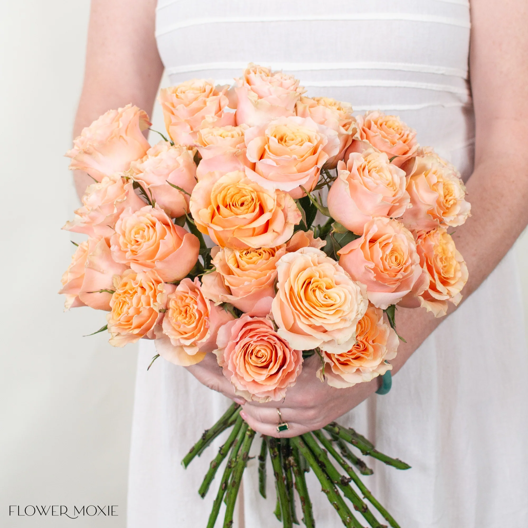 Peachy Pink Carpe Diem Rose - Image 2