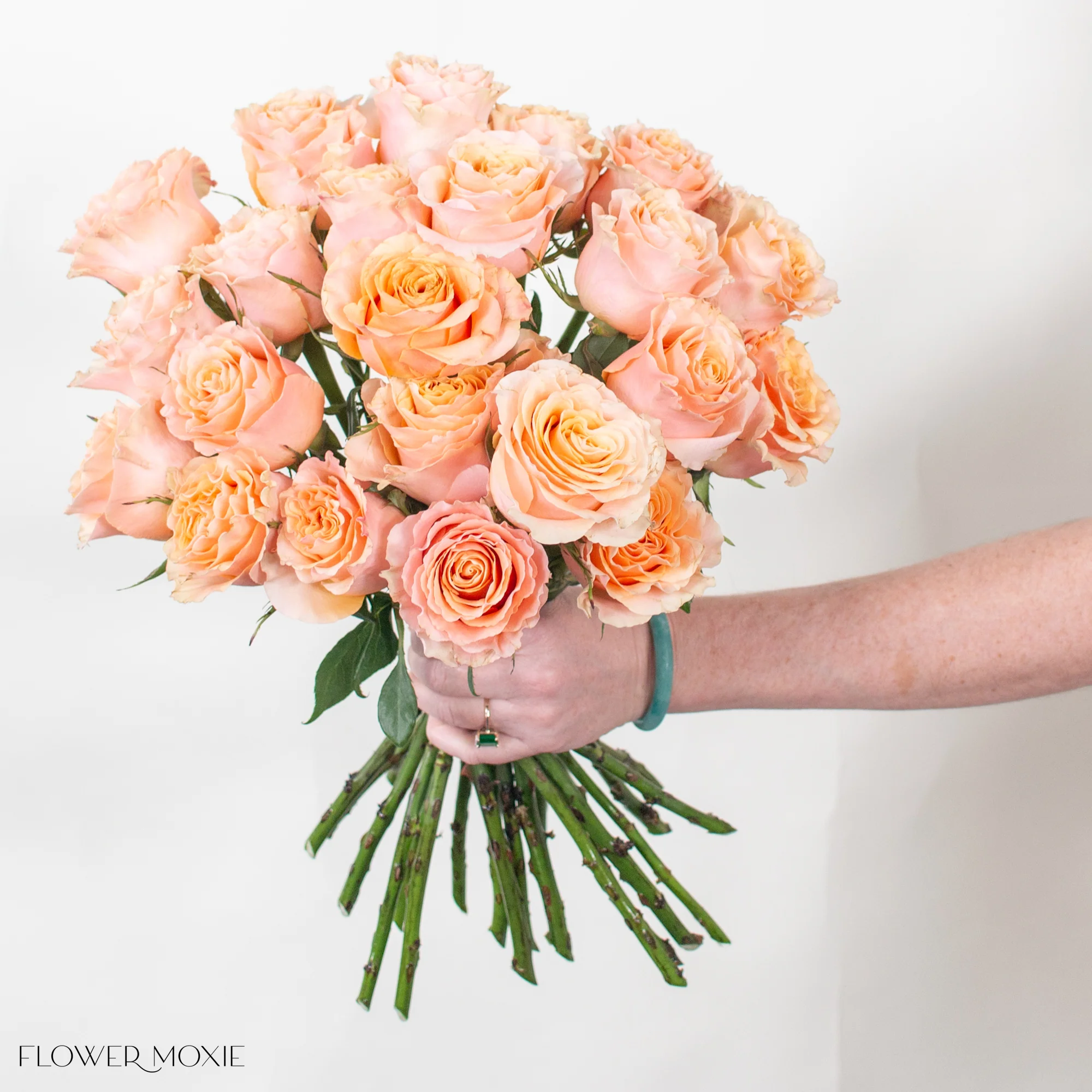 Peachy Pink Carpe Diem Rose - Image 3