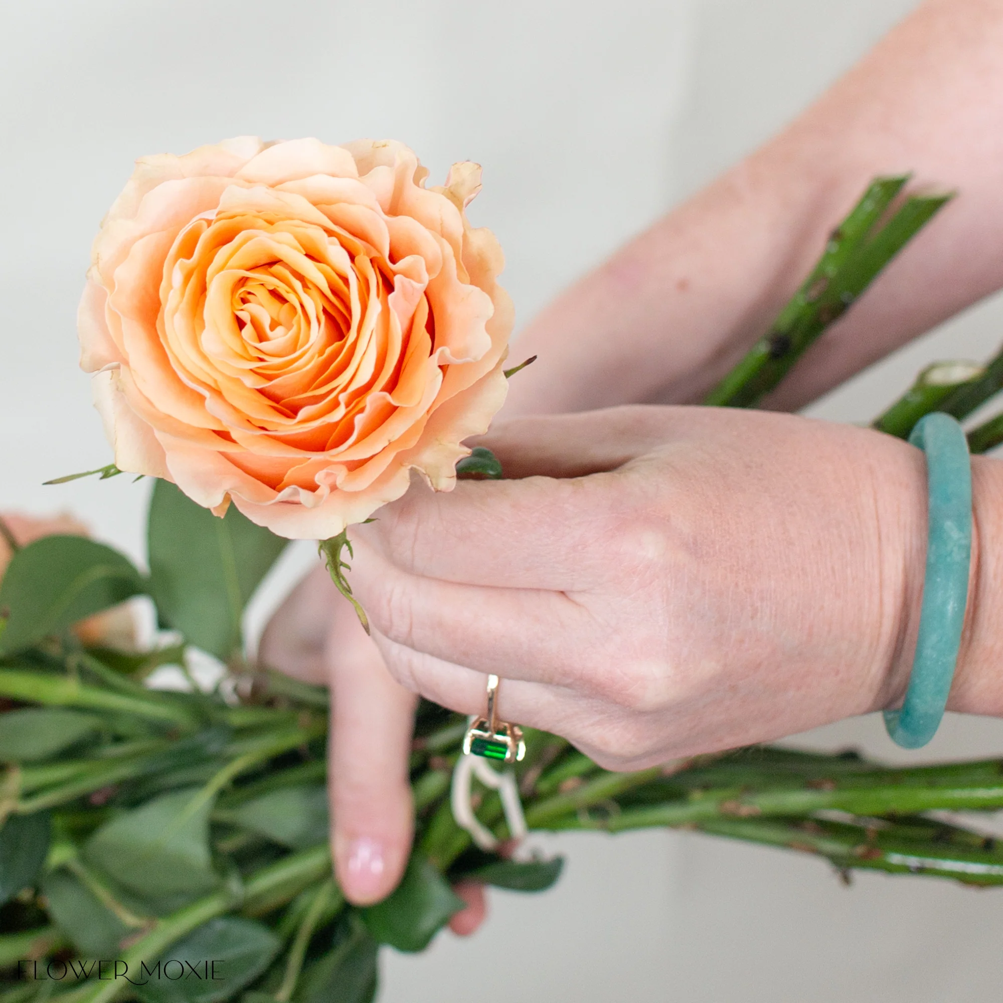 Peachy Pink Carpe Diem Rose - Image 4