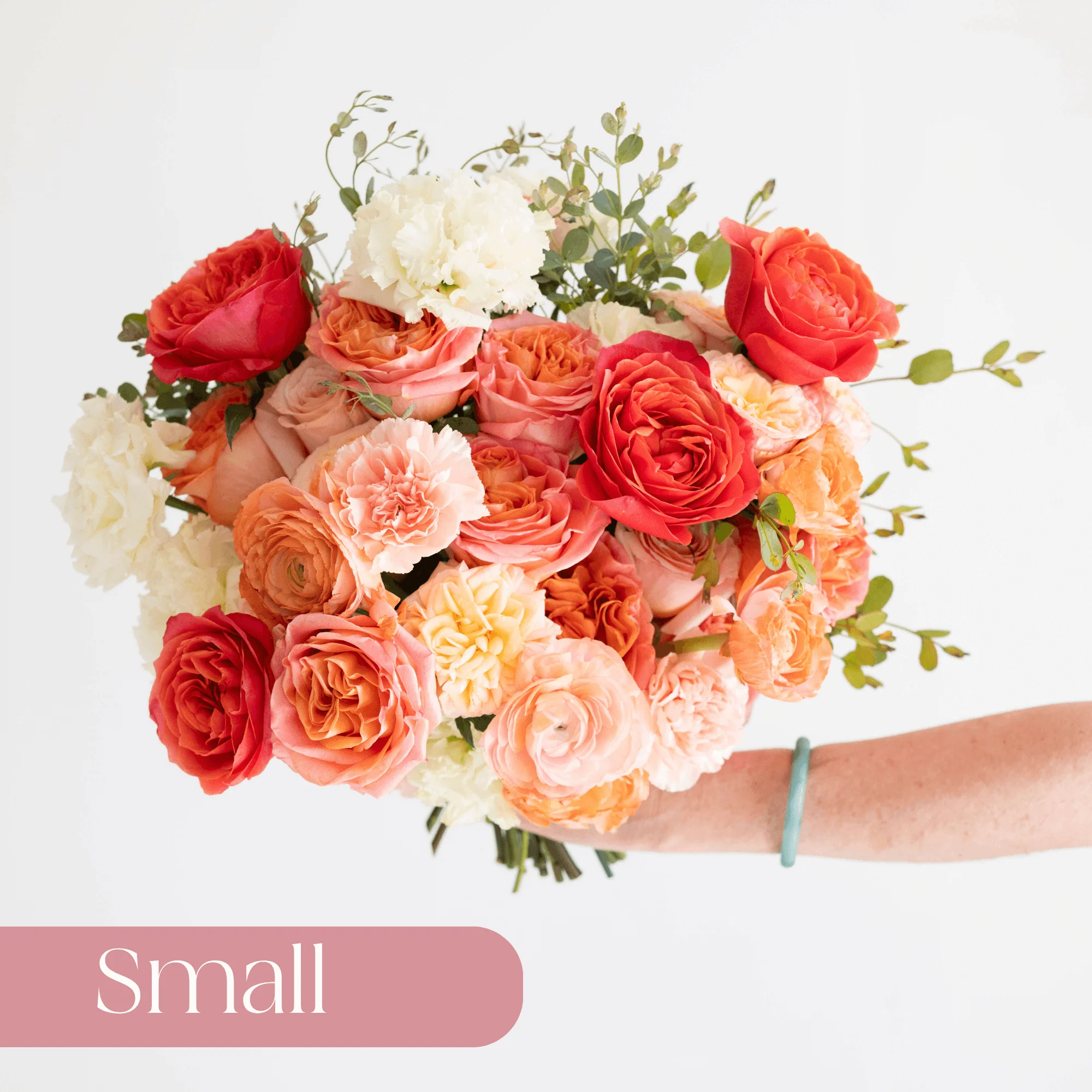 Peach and Coral Premade Plus - Small