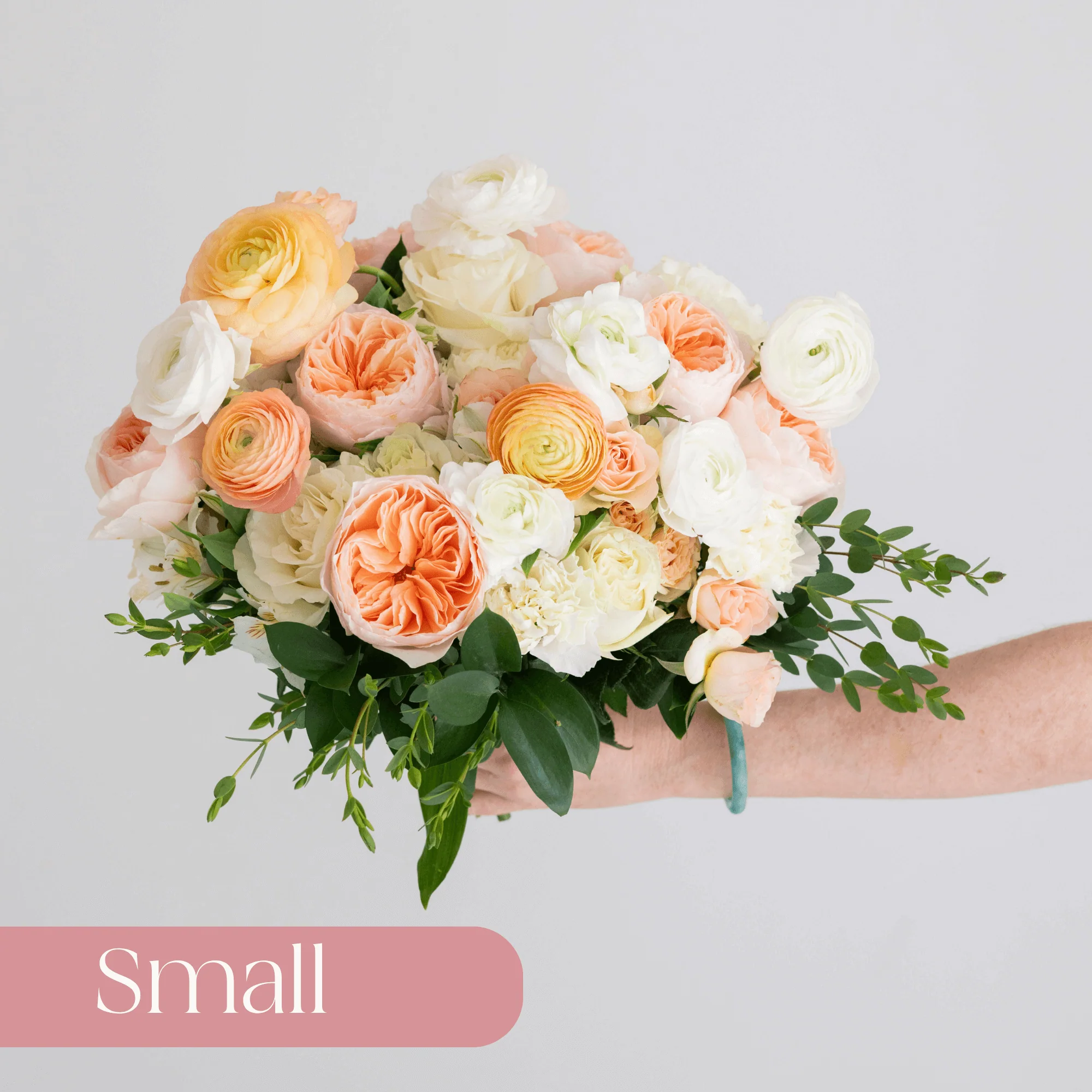 Peach and Cream Premade Plus - Small