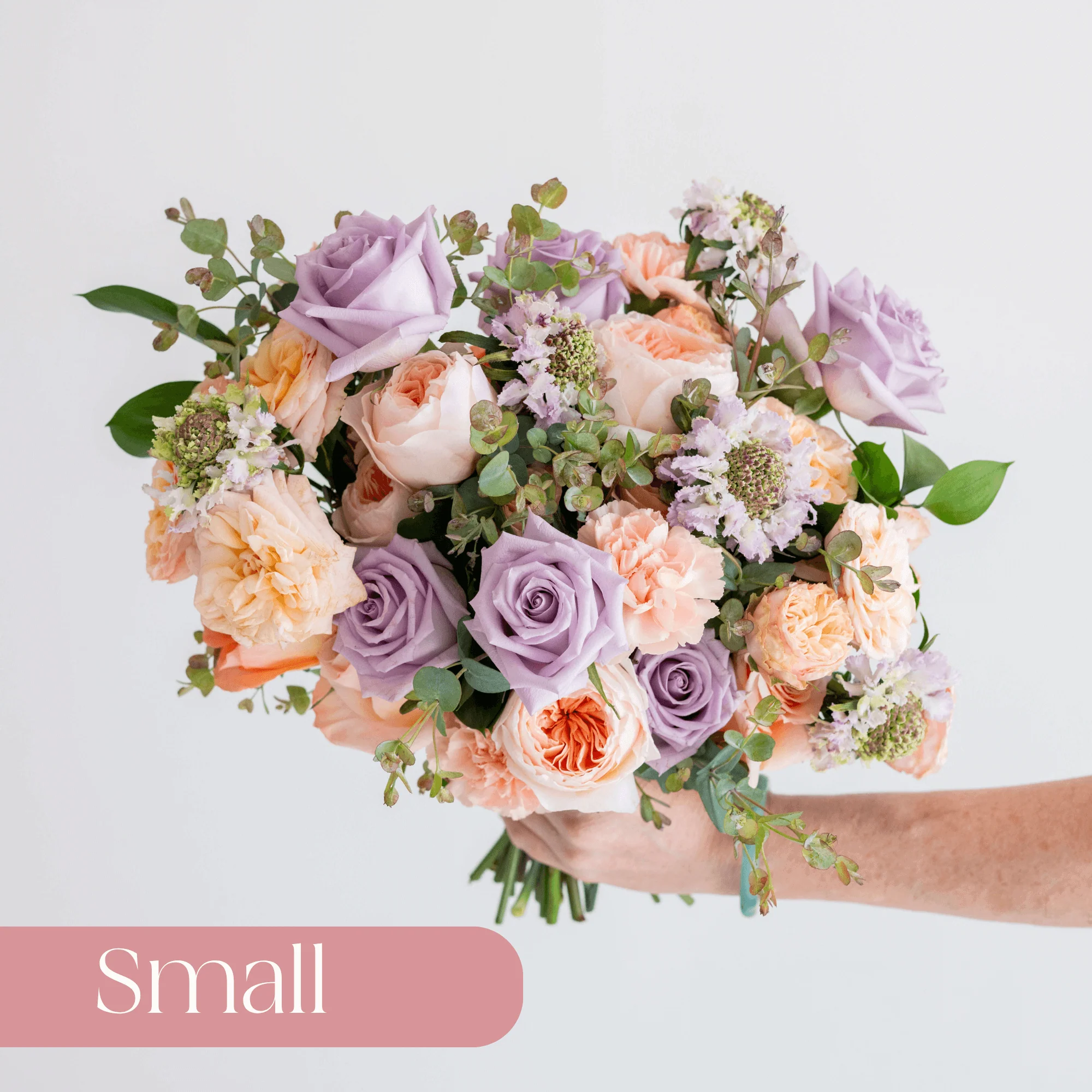 Peach and Lilac Premade Plus - Small