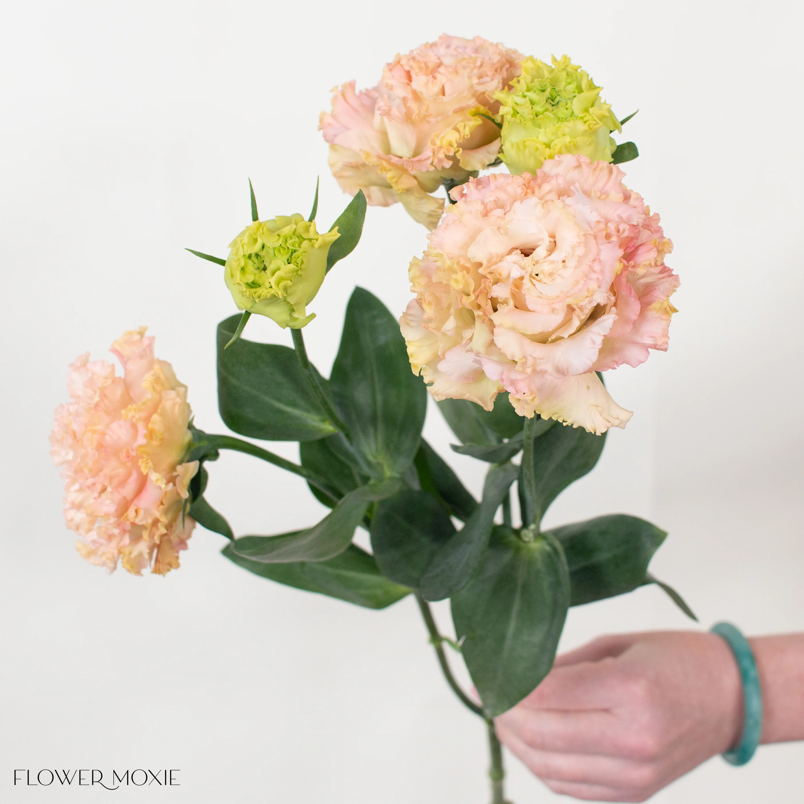 Peachy Pink Lisianthus Flower - Image 12