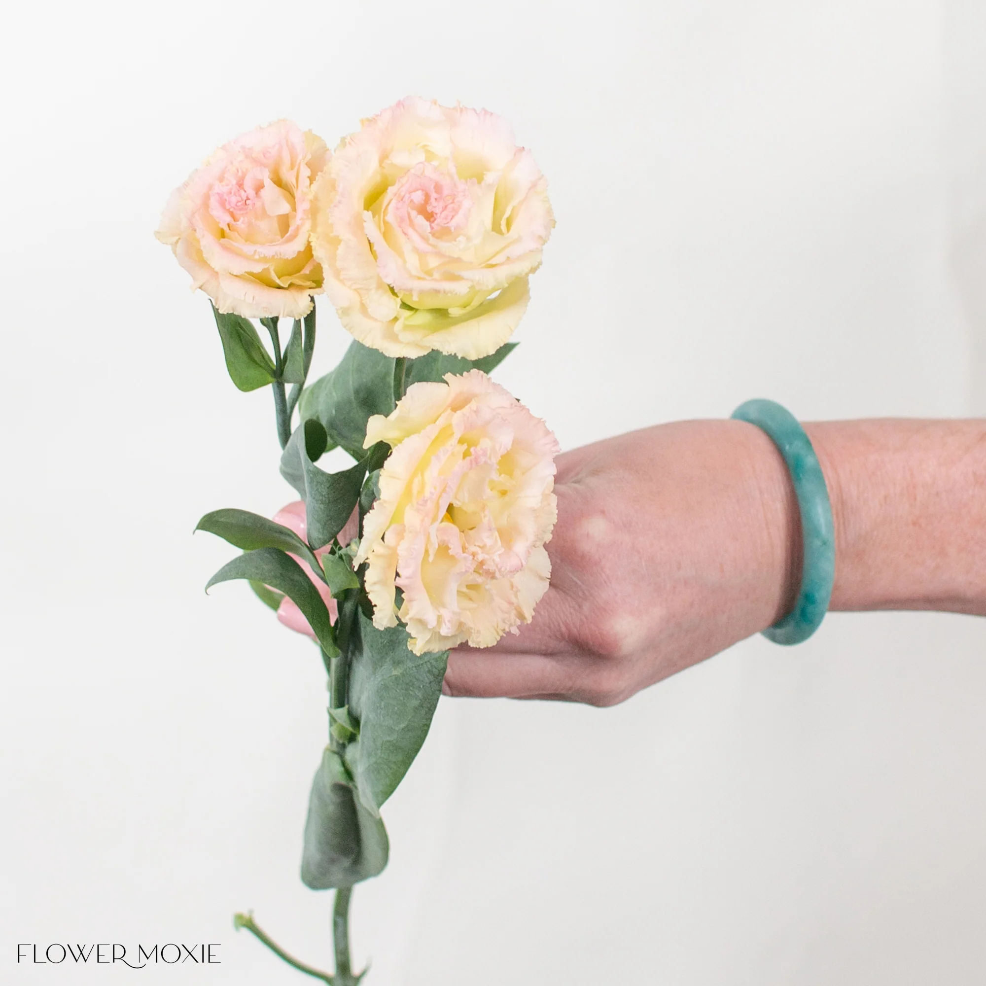 Peachy Pink Lisianthus Flower - Image 4