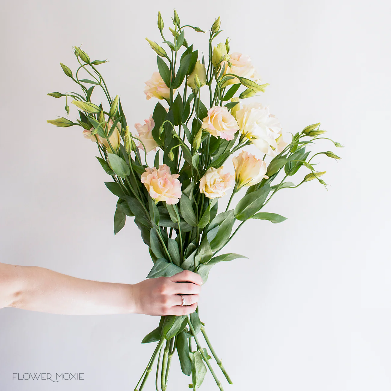 Peachy Pink Lisianthus Flower - Image 5