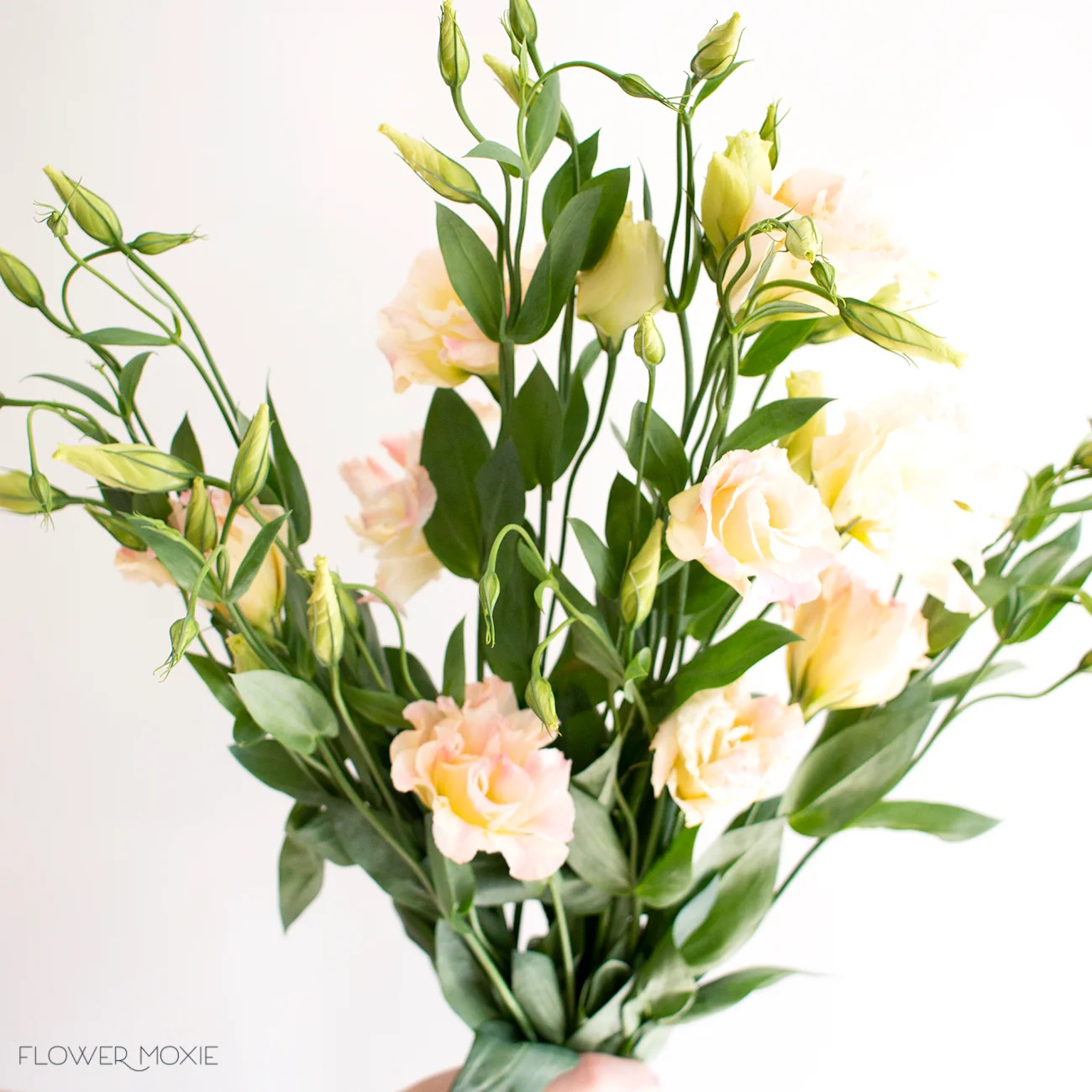 Peachy Pink Lisianthus Flower - Image 6