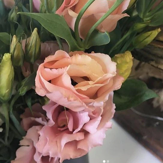 Peachy Pink Lisianthus Flower - Image 7