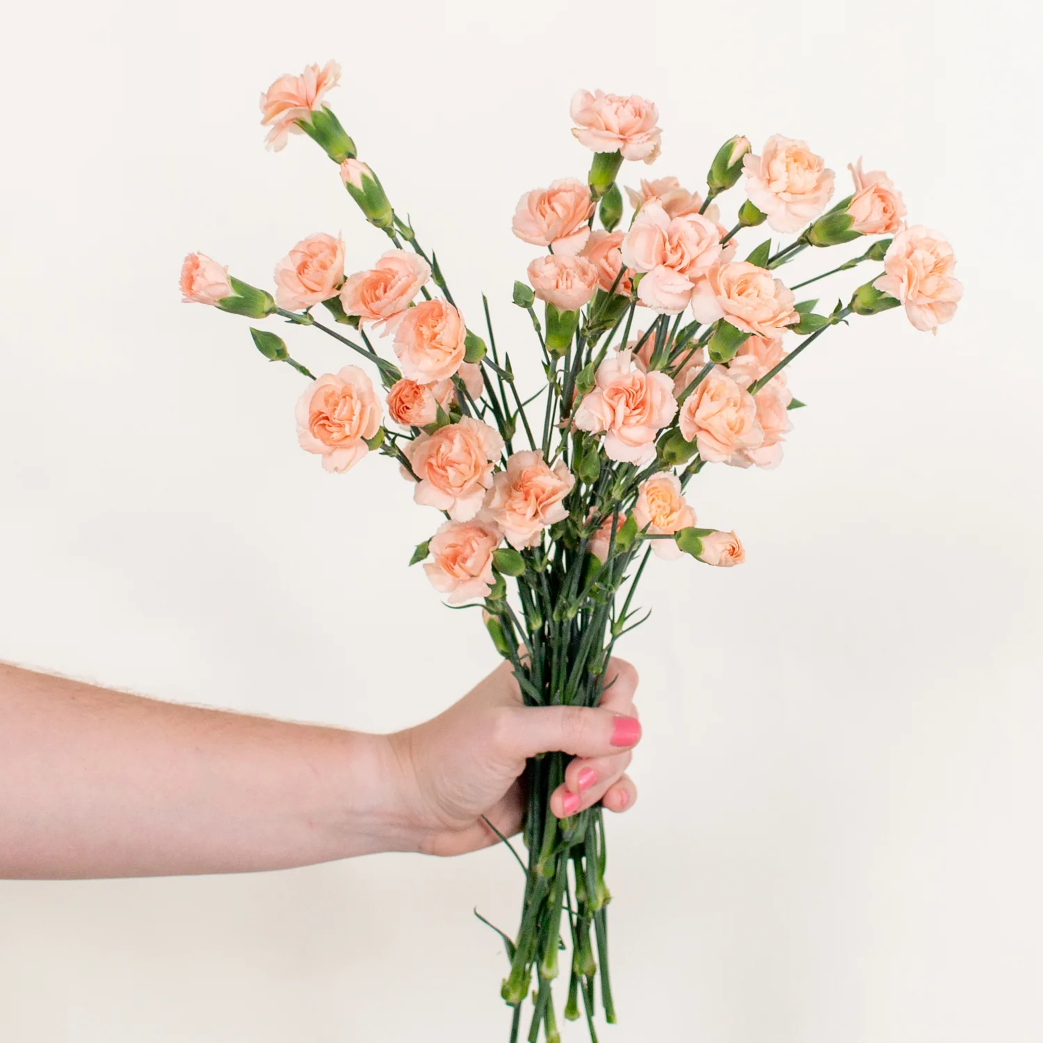 Peach Mini Carnation Flower - Image 3