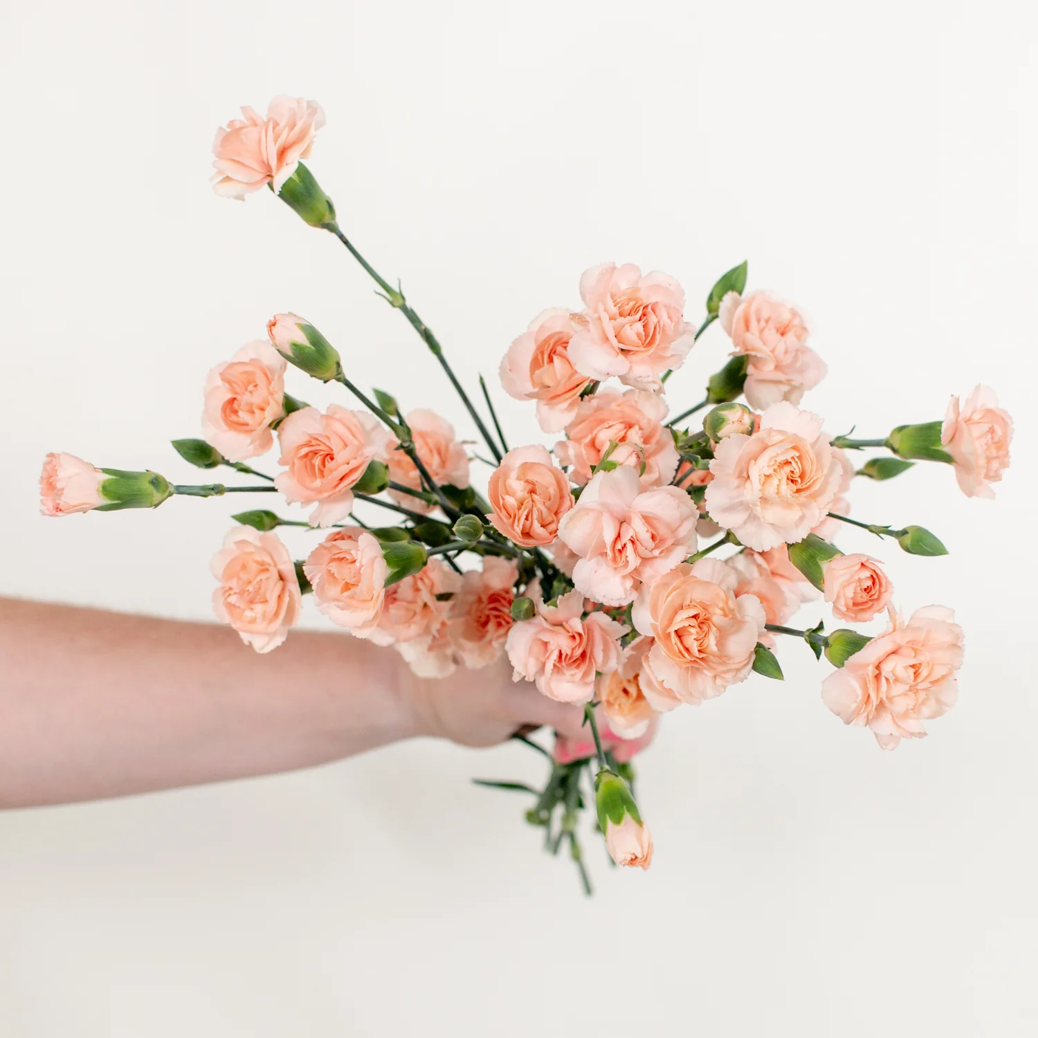 Peach Mini Carnation Flower - Image 5