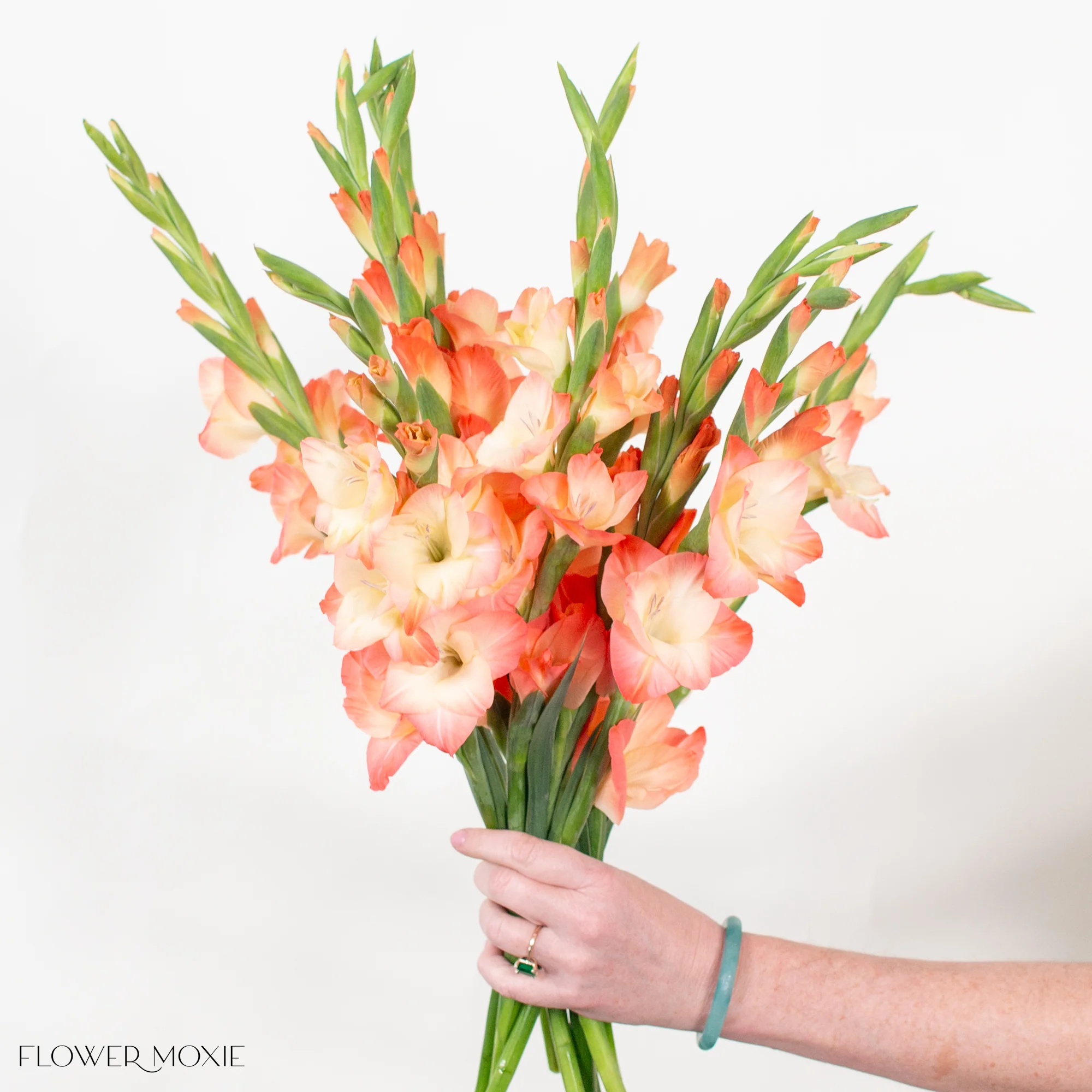 Peach Mini Gladiolus Flower - Image 5