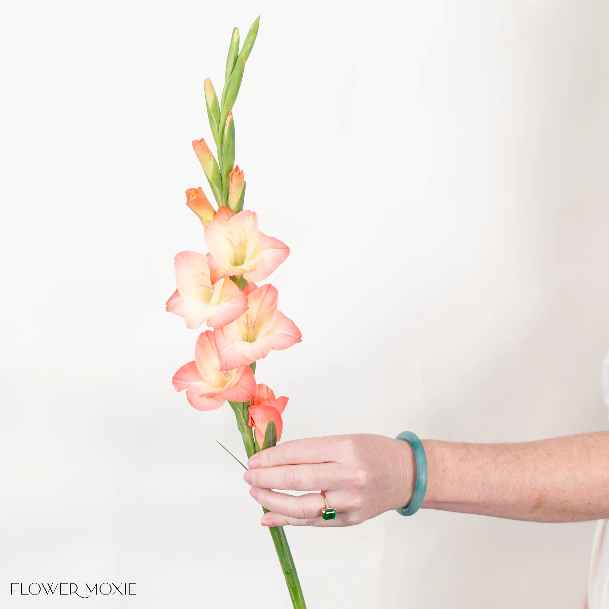 Peach Mini Gladiolus Flower - Image 6