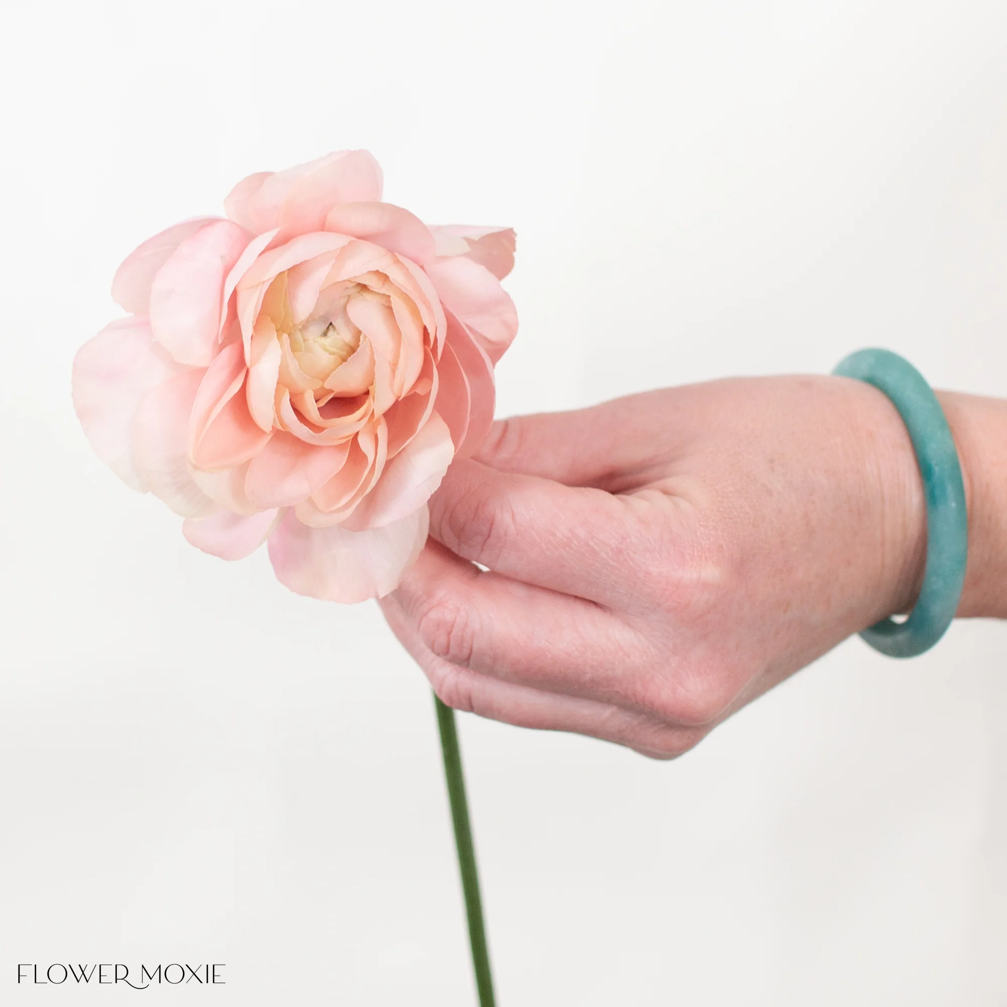 Peach Pastel Italian Ranunculus Flower - Image 4