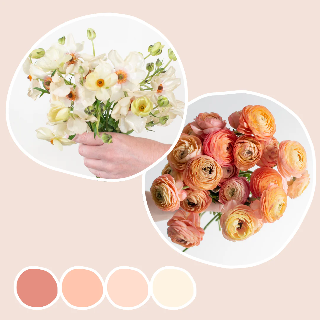 Peach Ranunculus and White Butterfly Ranunculus Mixed Box