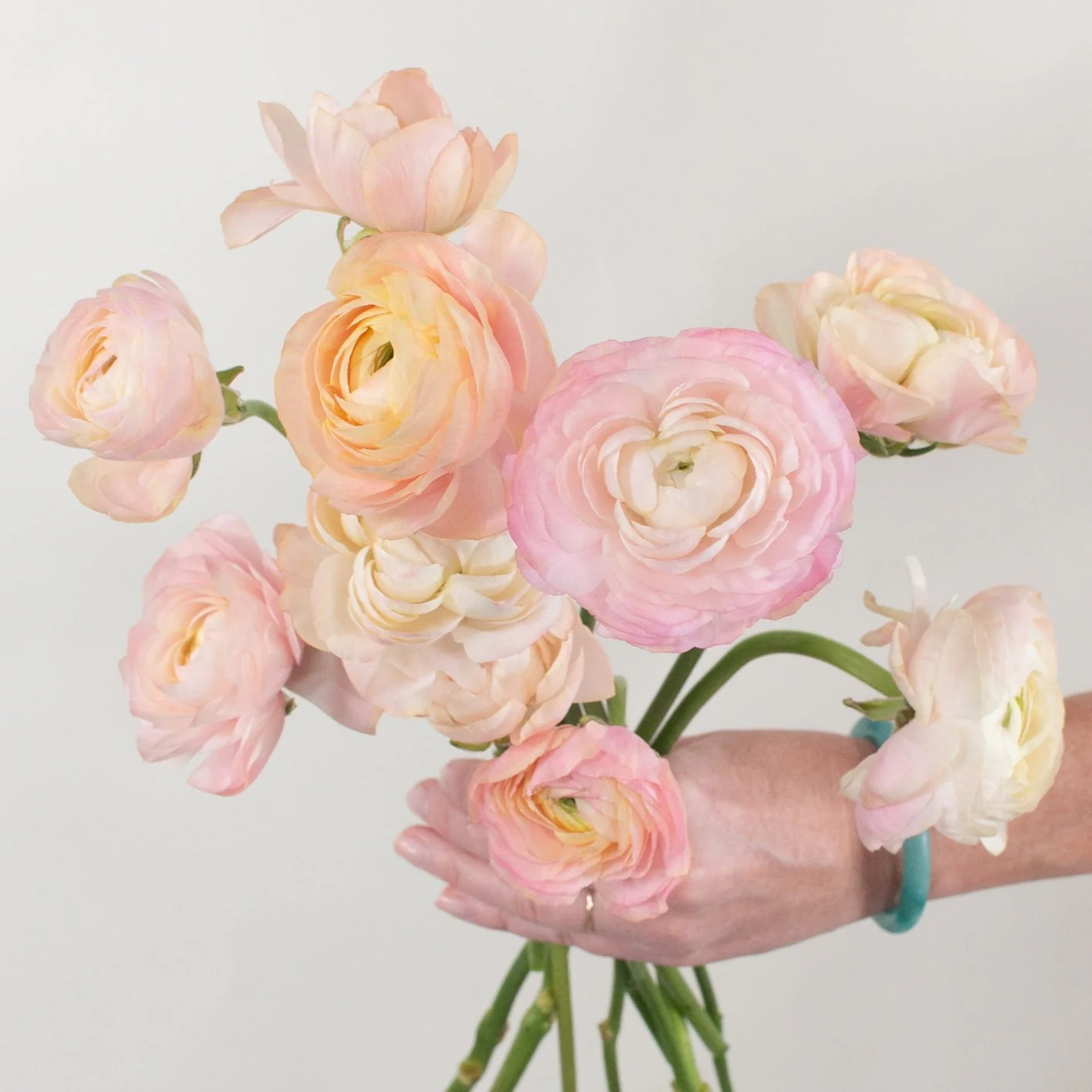 Peach Salmon Ranunculus Flower - Image 3