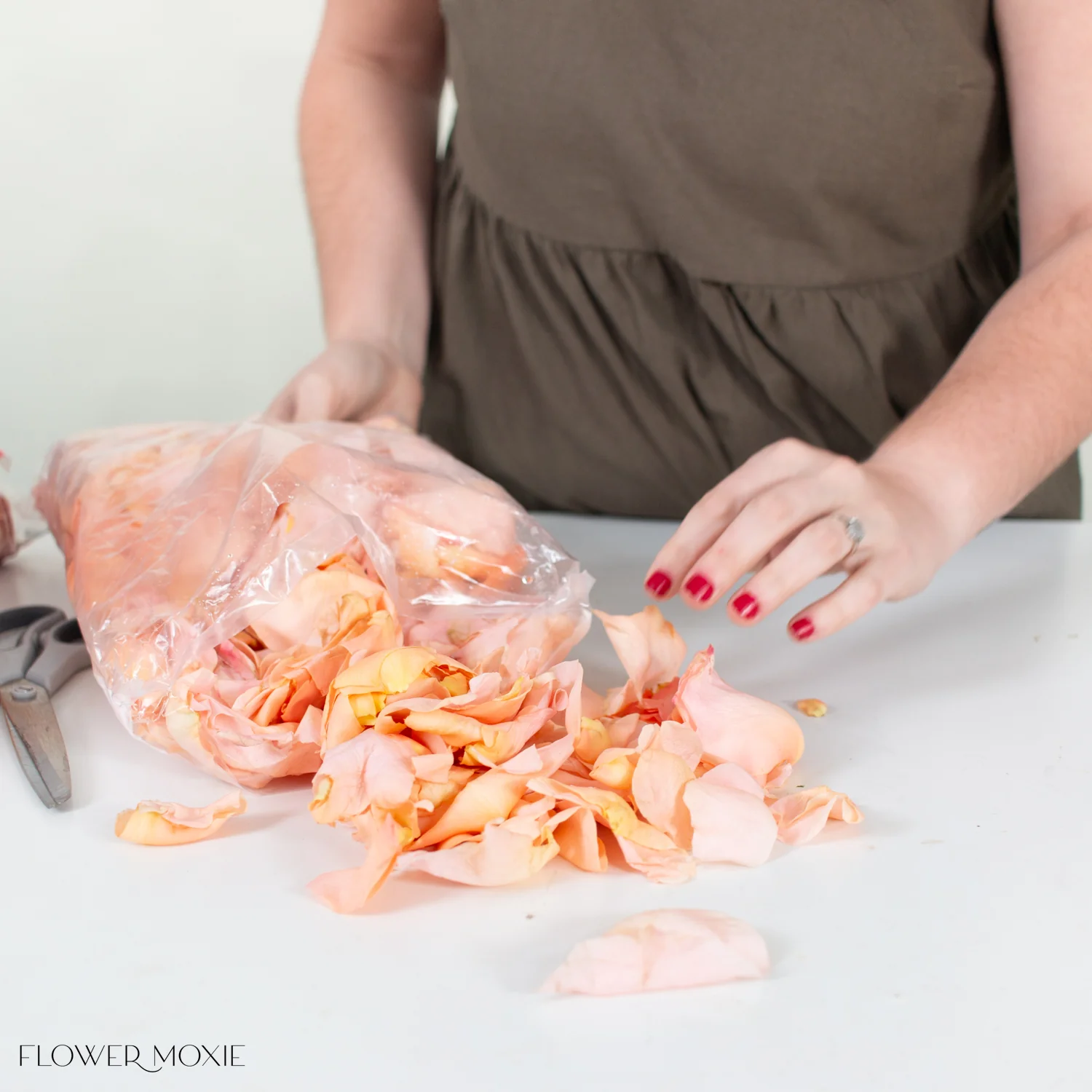 Peach Rose Petals - Image 2