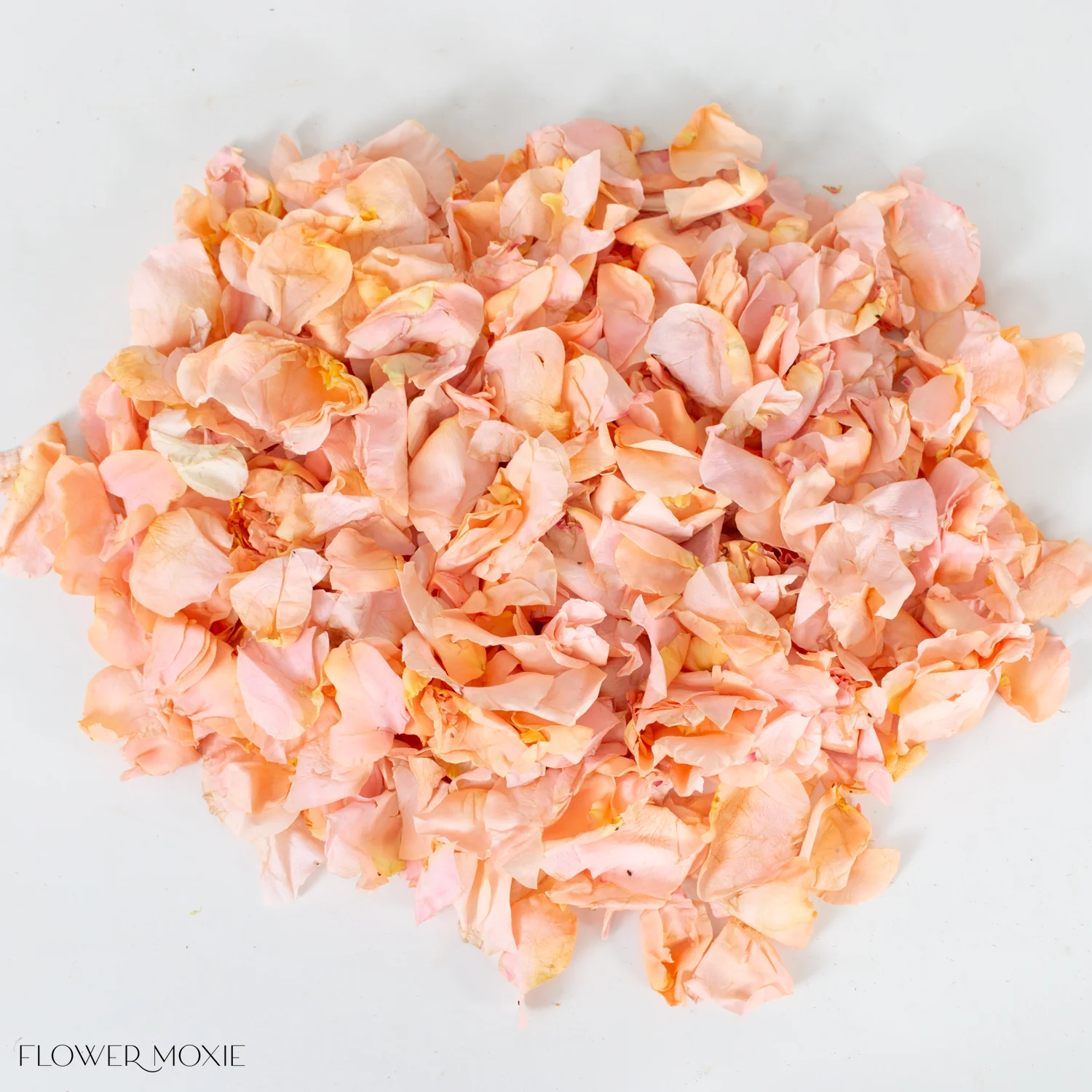 Peach Rose Petals - Image 3