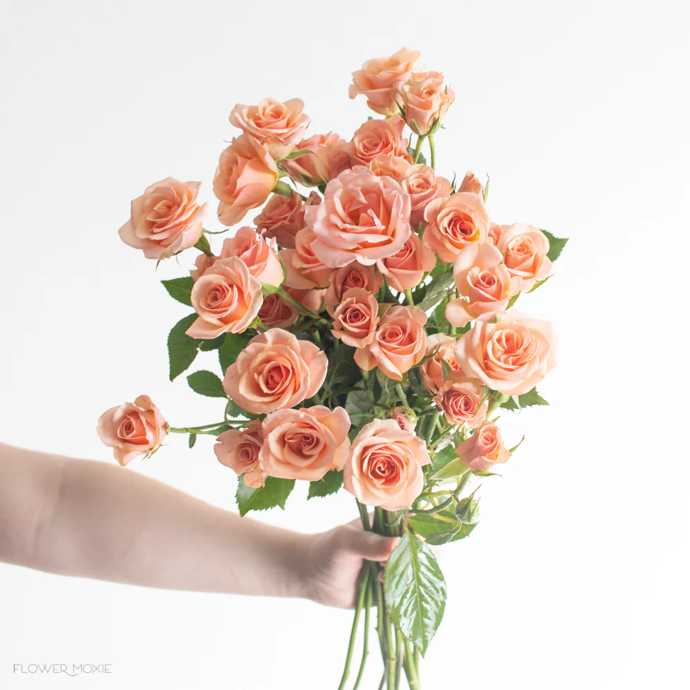 Peach Spray Roses - Image 5