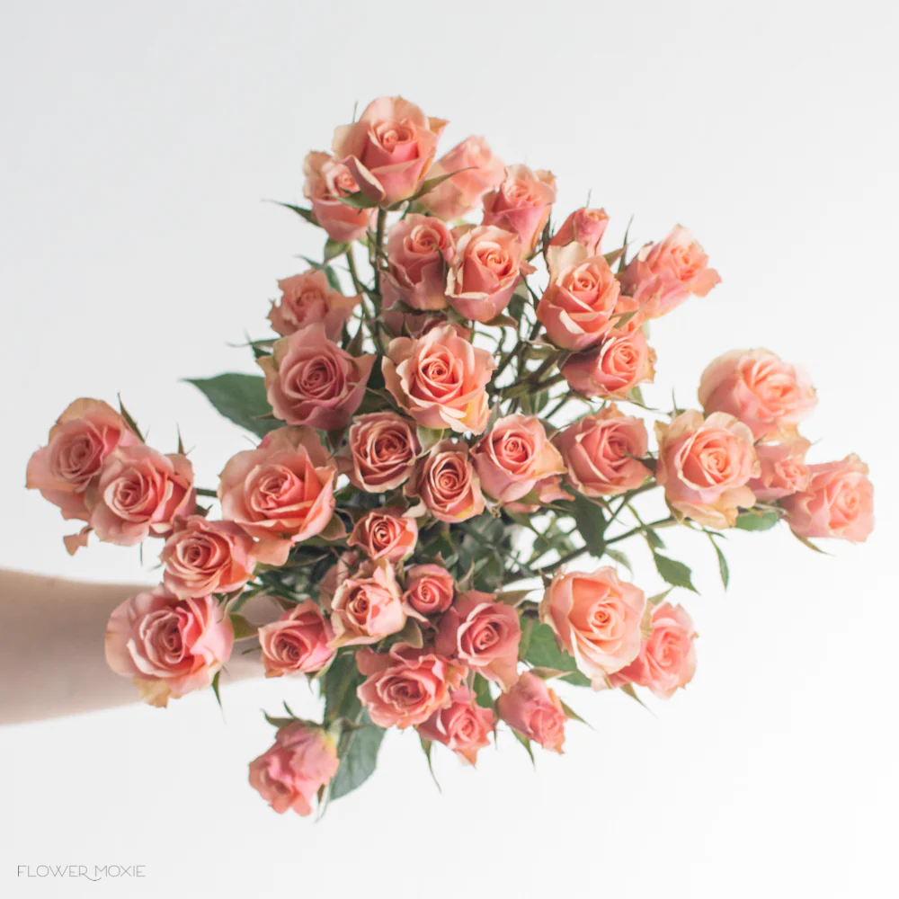 Peach Spray Roses - Image 6