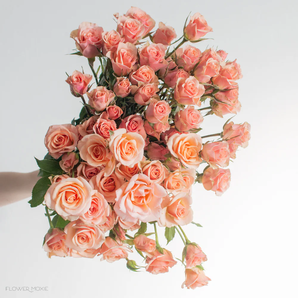 Peach Spray Roses - Image 9