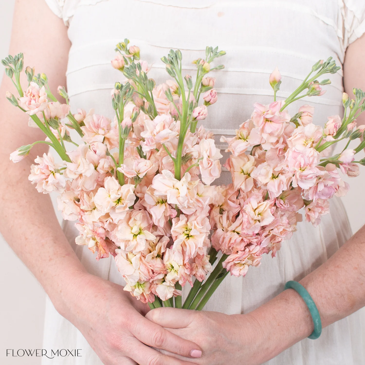 Peach Stock Flower - Image 10