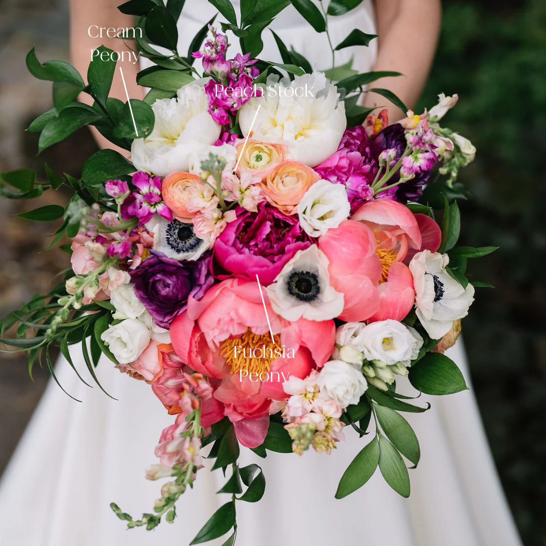Peach Stock Flower - Image 2