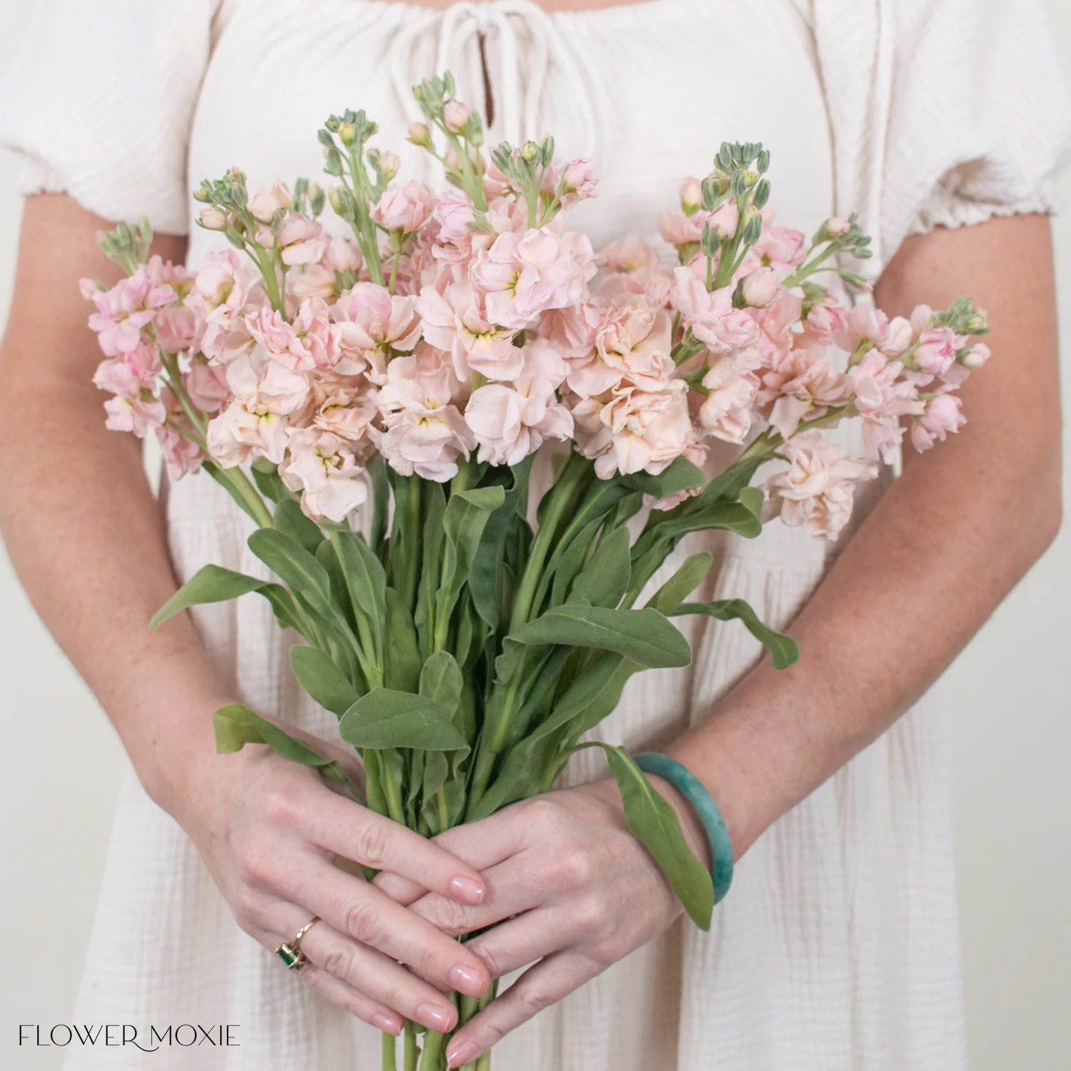 Peach Stock Flower - Image 7
