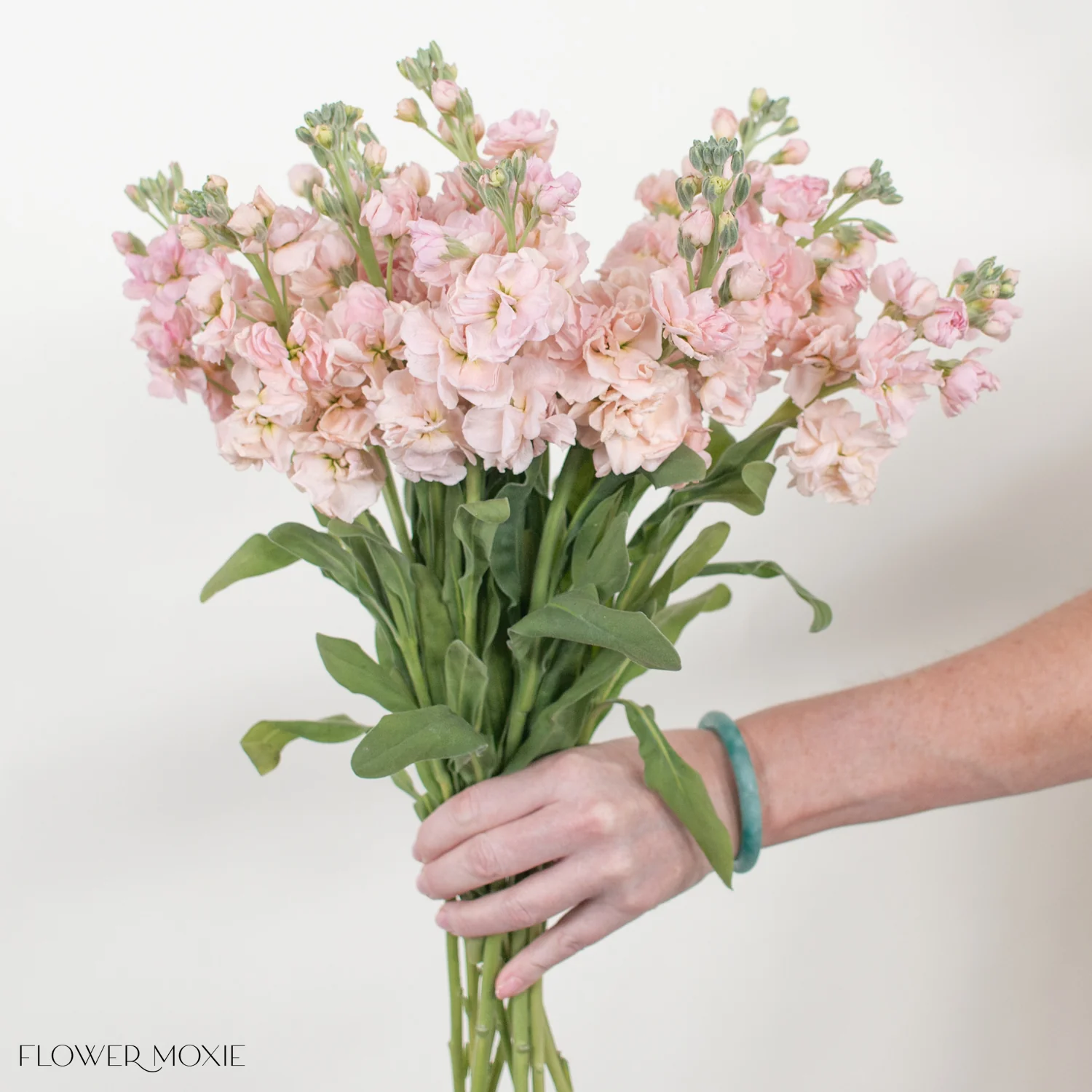 Peach Stock Flower - Image 8