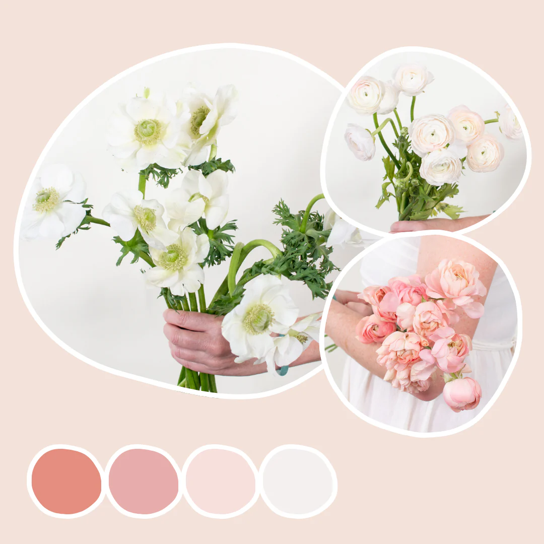 Bianco Anemone, Peach and Blush Ranunculus Mixed Box