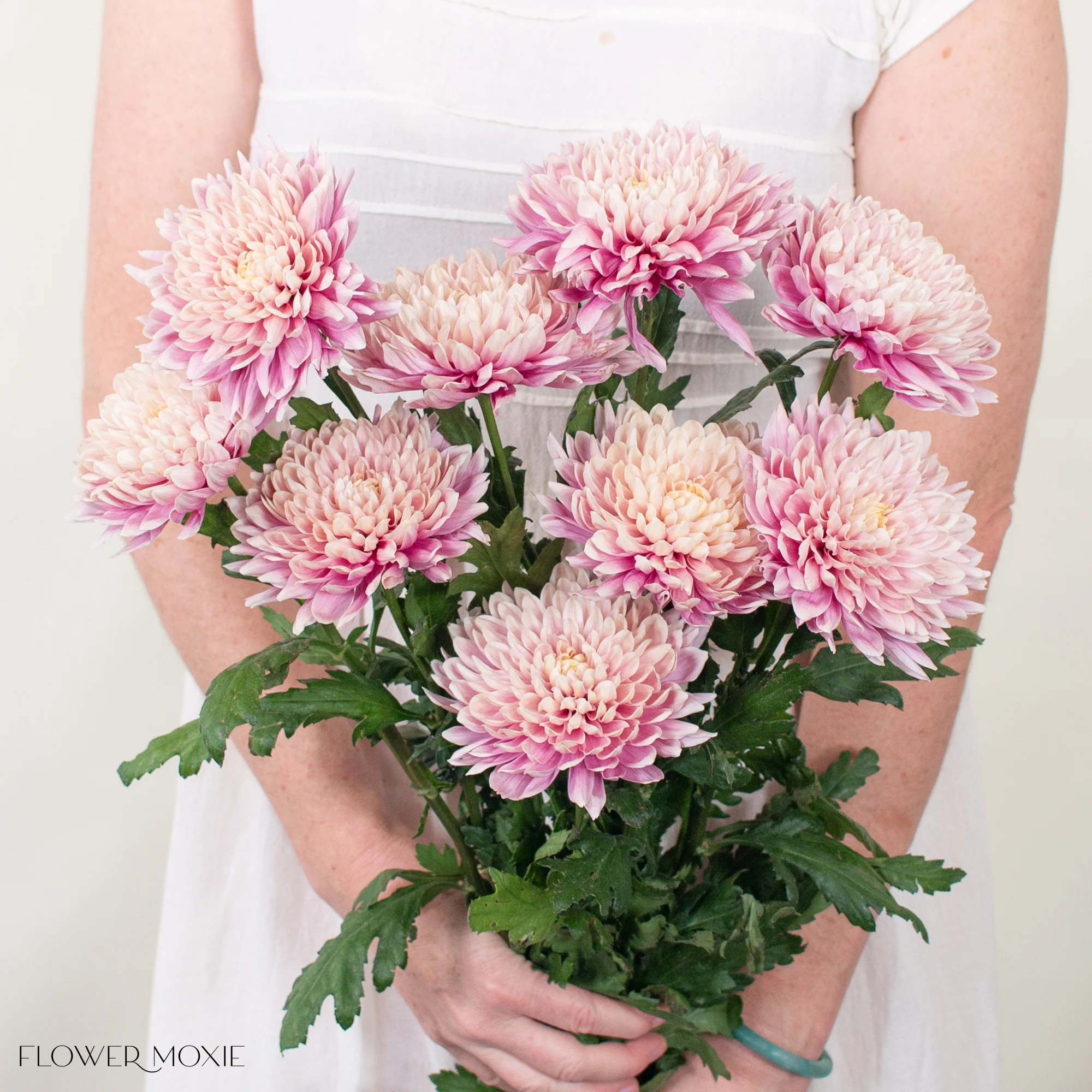 Peachy Pink Cremone Flower - Image 4