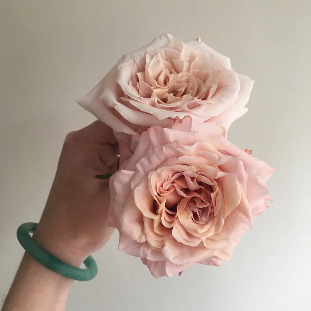 Peachy Pink Shimmer Rose - Image 3