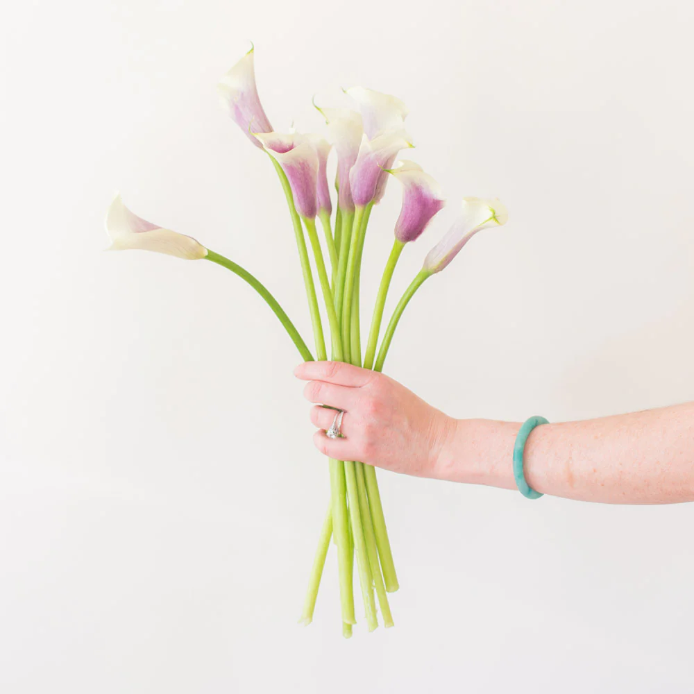 Picasso Mini Calla Lily Flower - Image 4