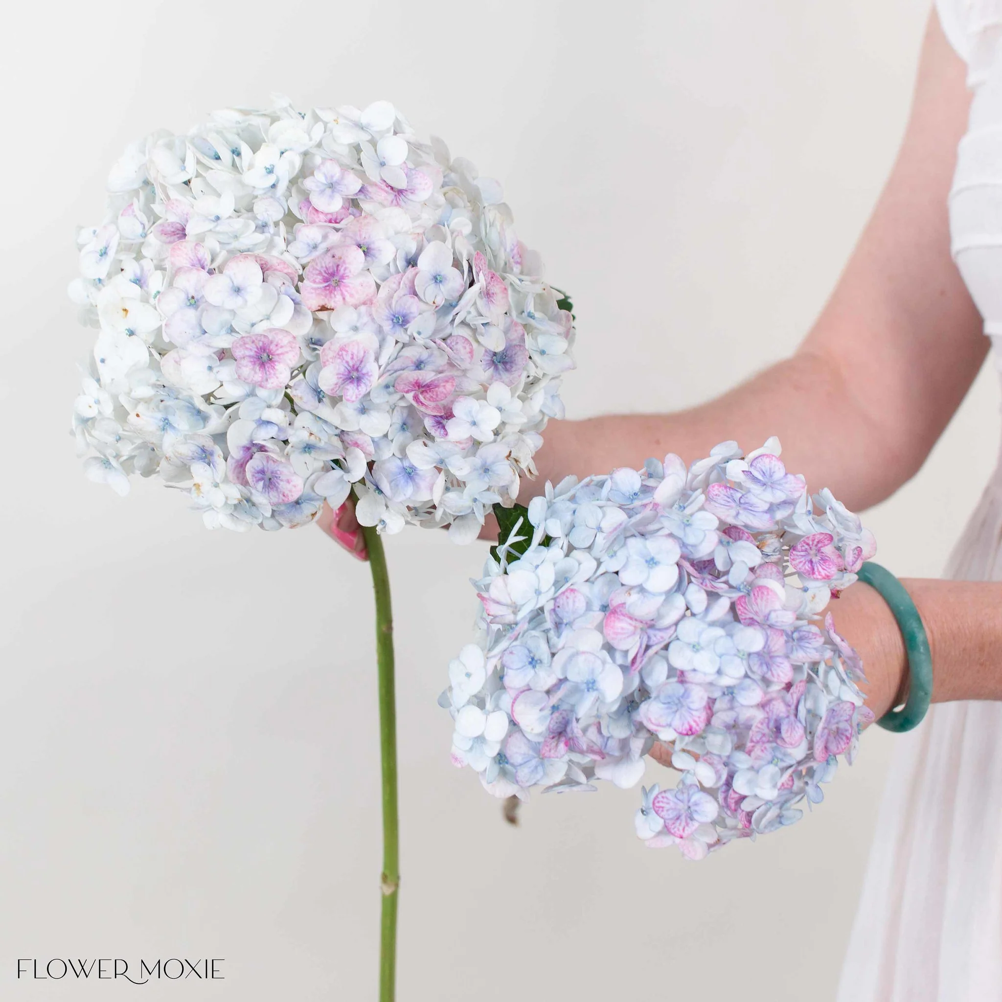 Pink Lilac Antique Hydrangea Flower - Image 3