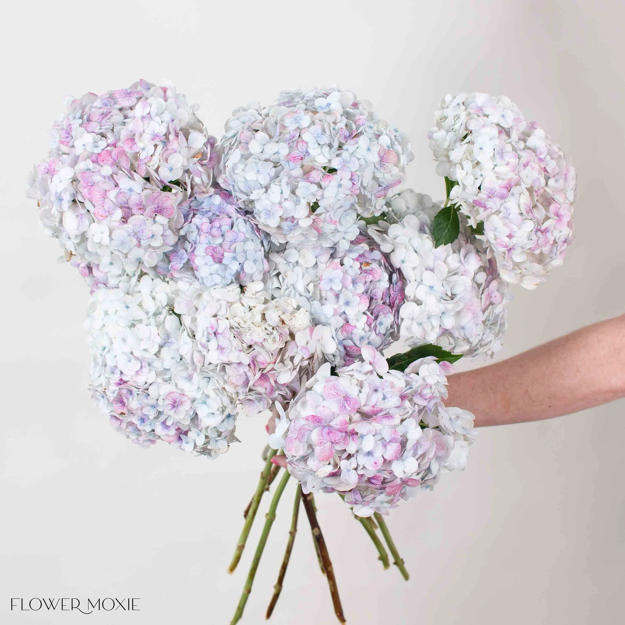 Pink Lilac Antique Hydrangea Flower - Image 4