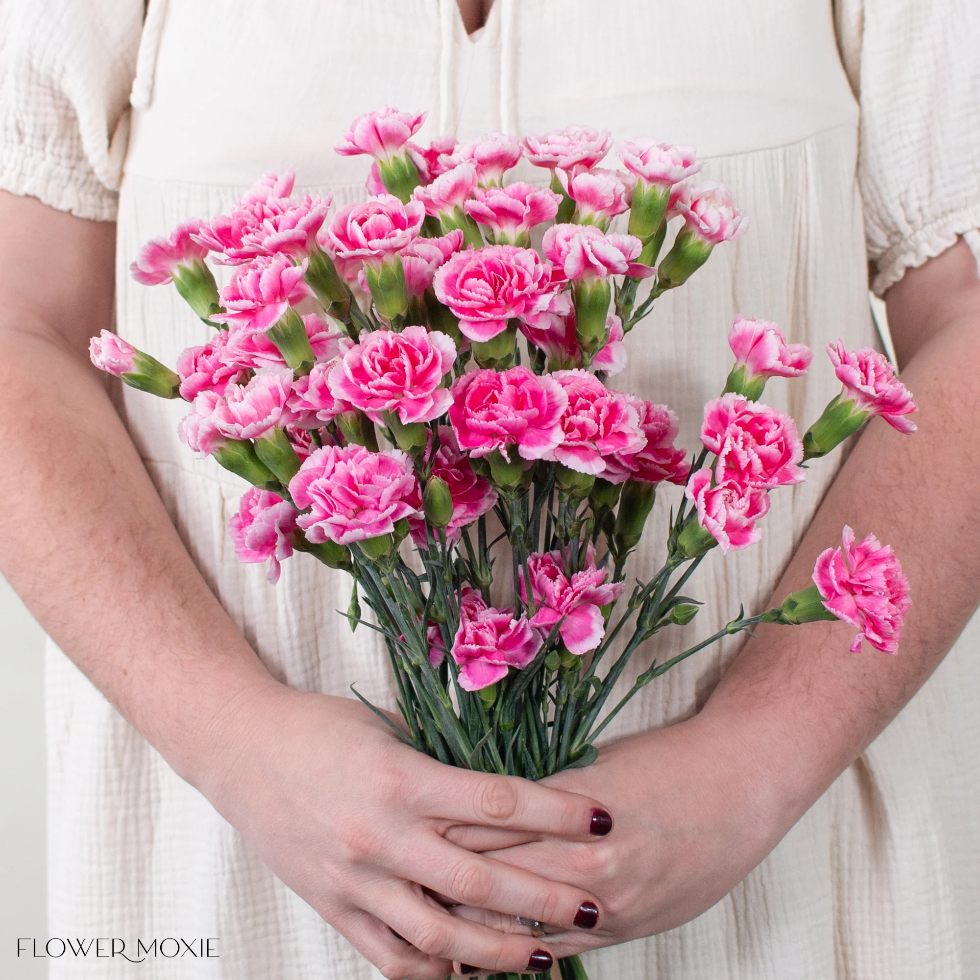Creamy Pink Mini Carnation Flower - Image 4