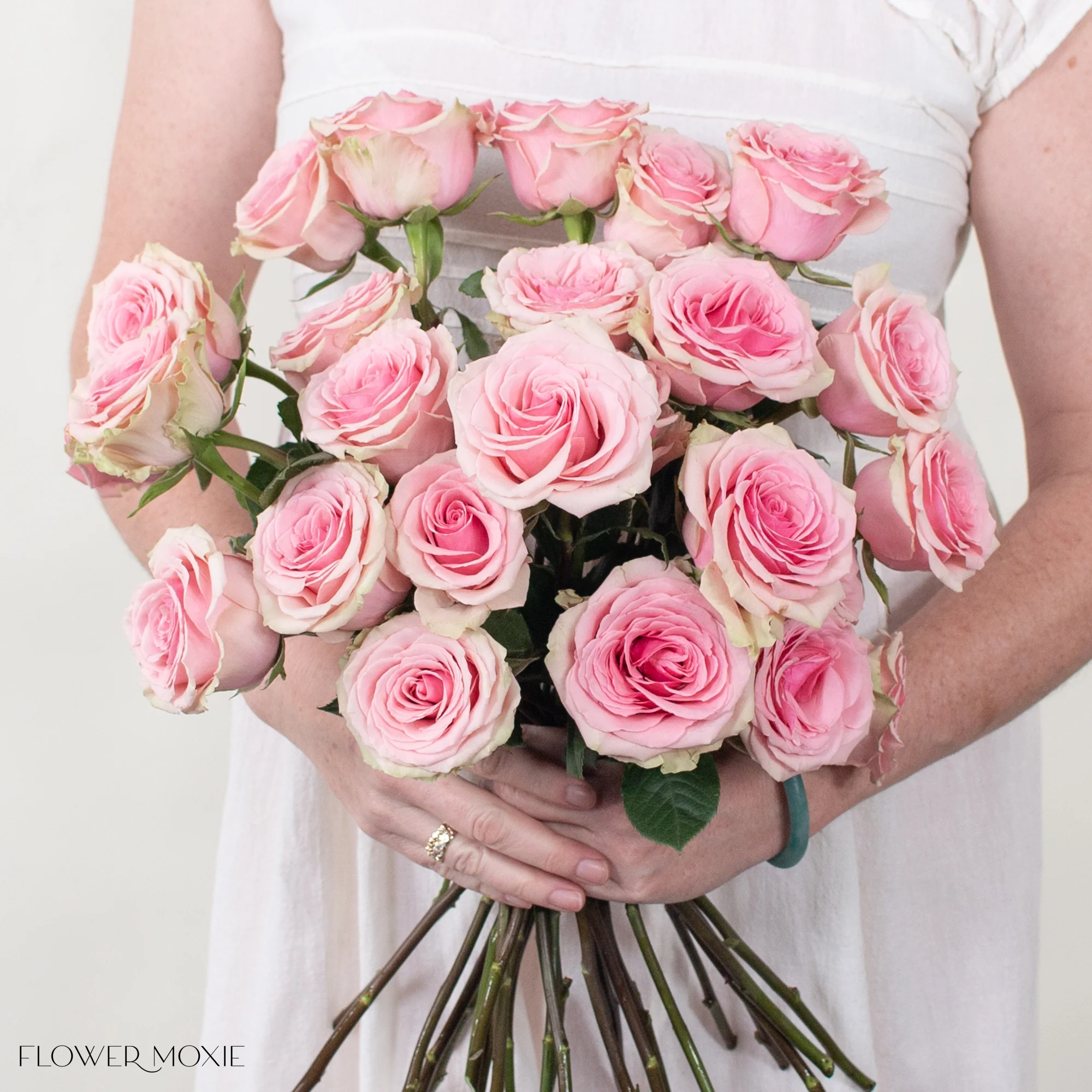 Pink Geraldine Rose - Image 3