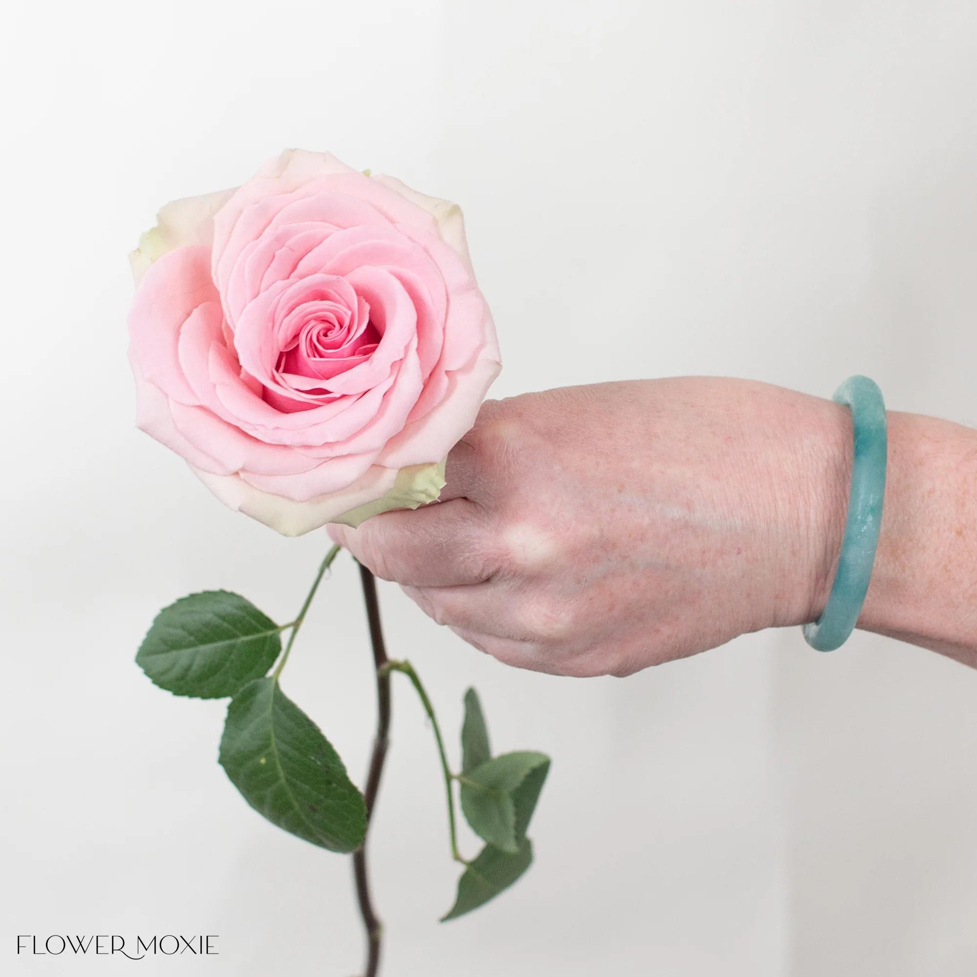 Pink Geraldine Rose - Image 4