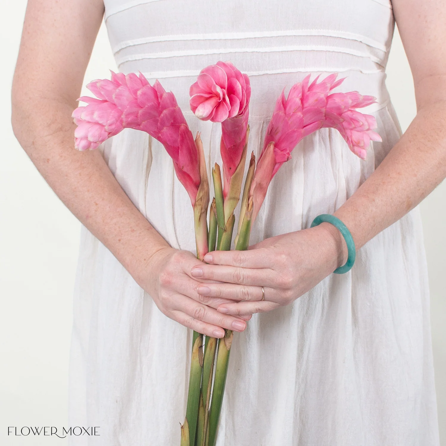 Pink Ginger - Image 3