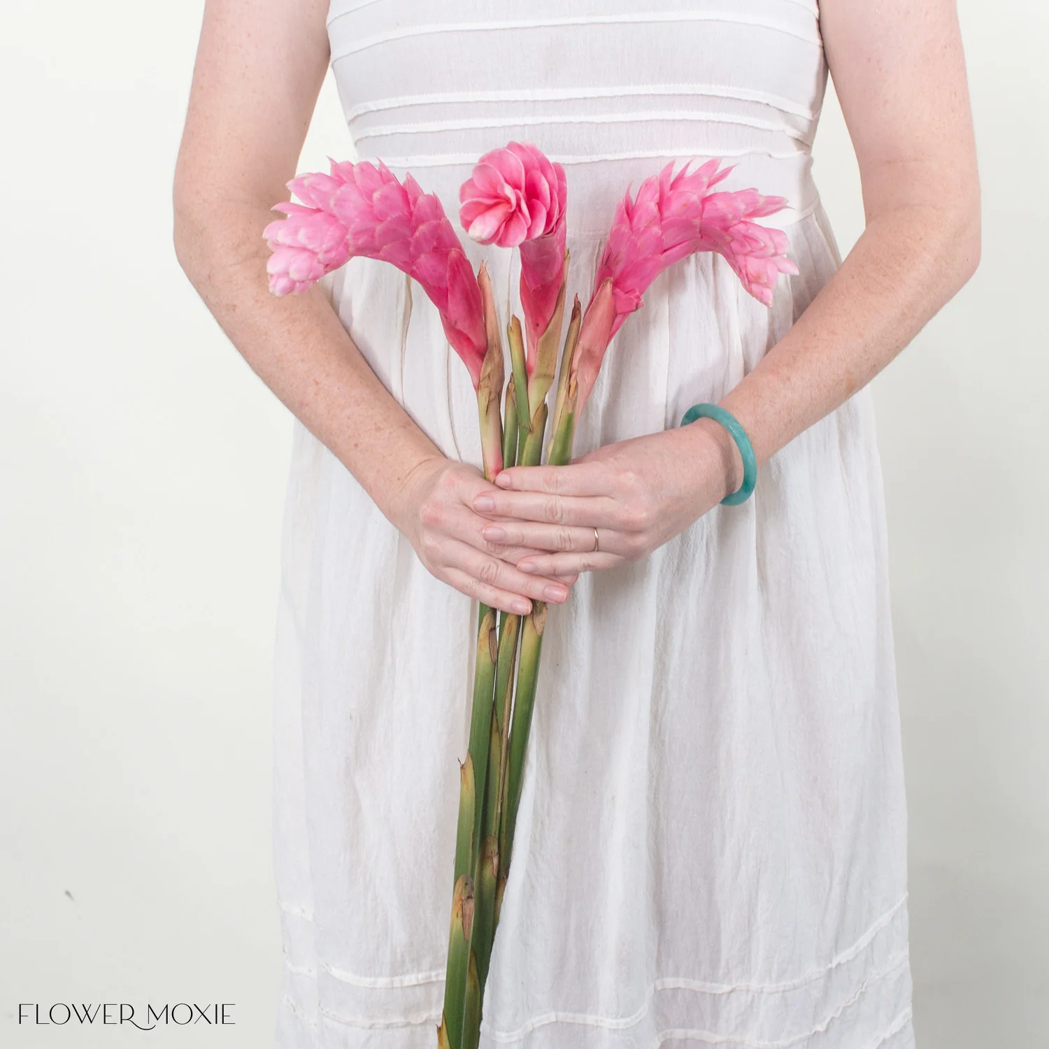 Pink Ginger - Image 4